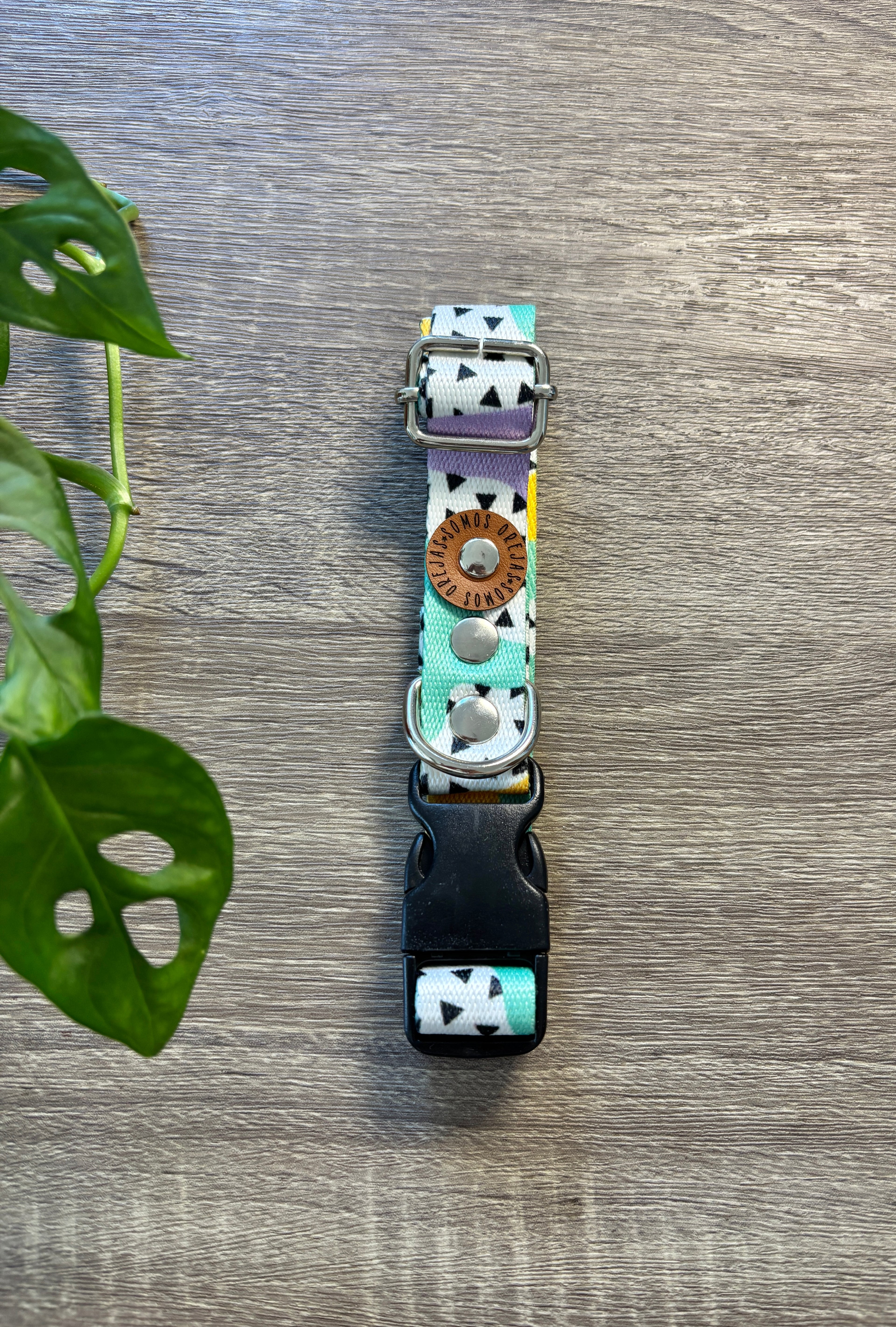 Collar regulable para mascotas - Colores