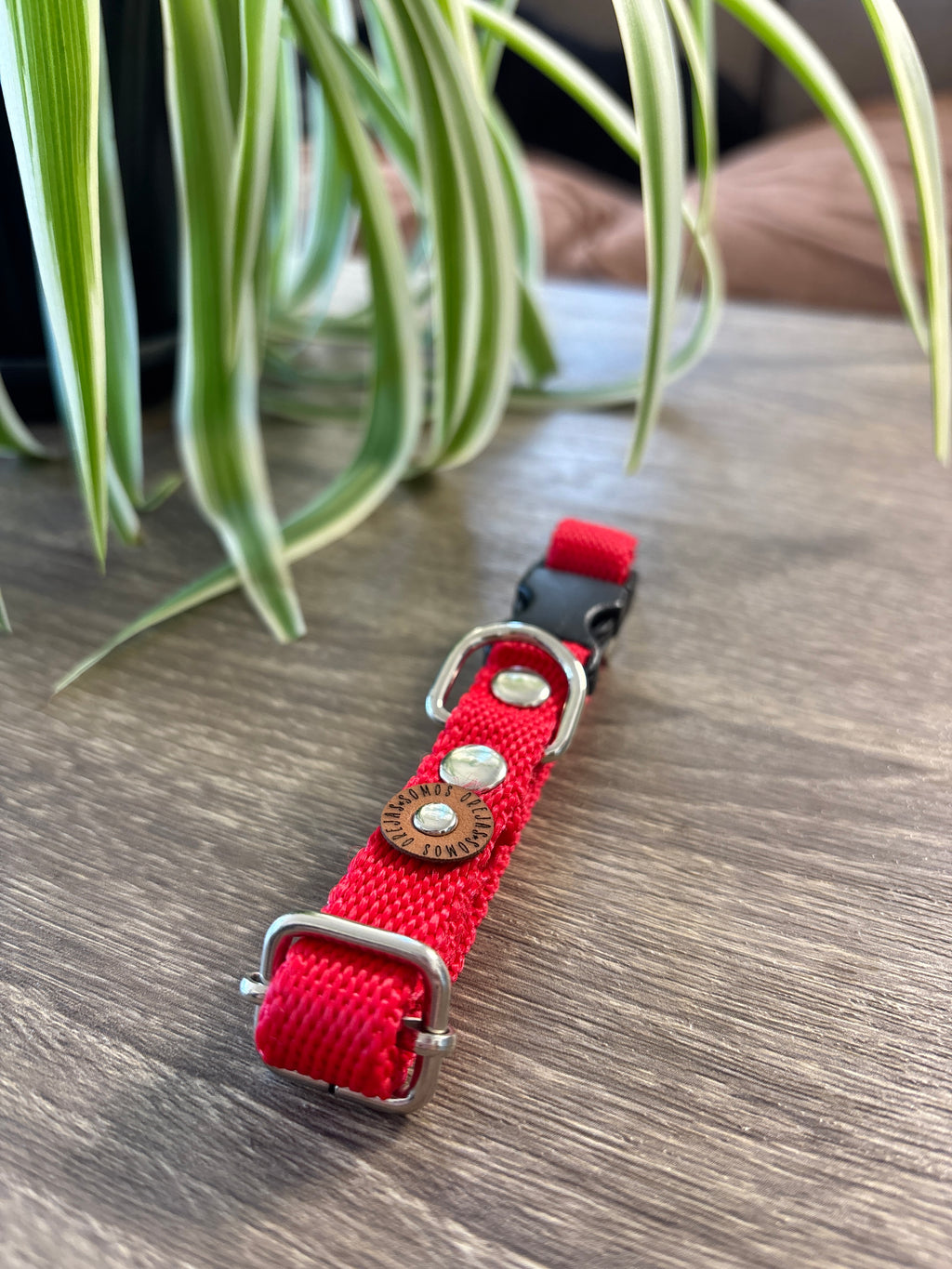 Collar regulable para mascotas - Rojo