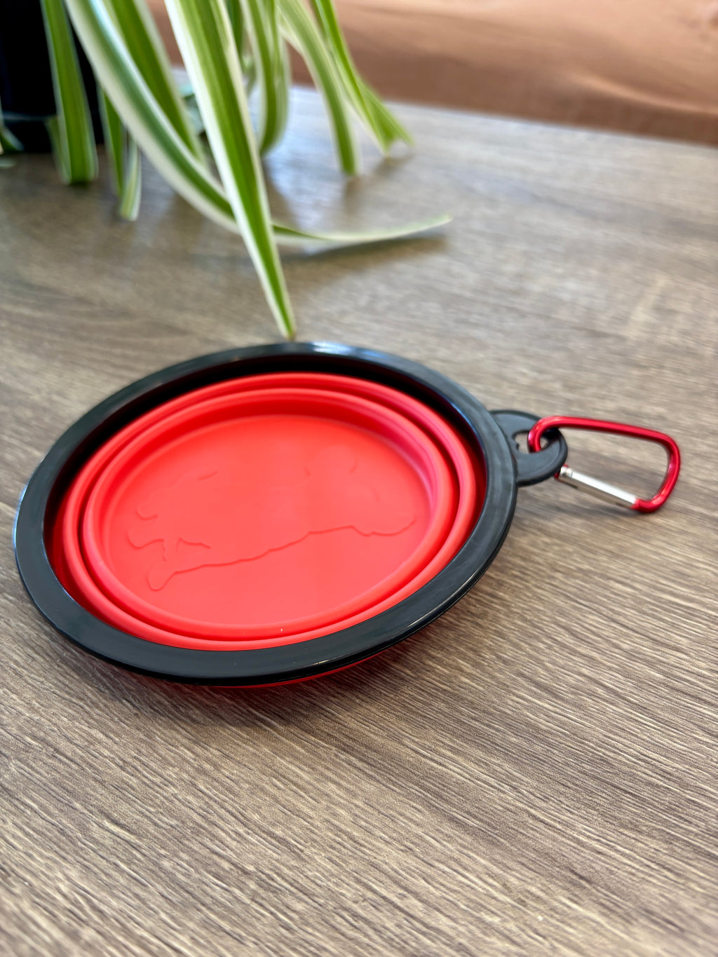 Plato plegable para mascotas
