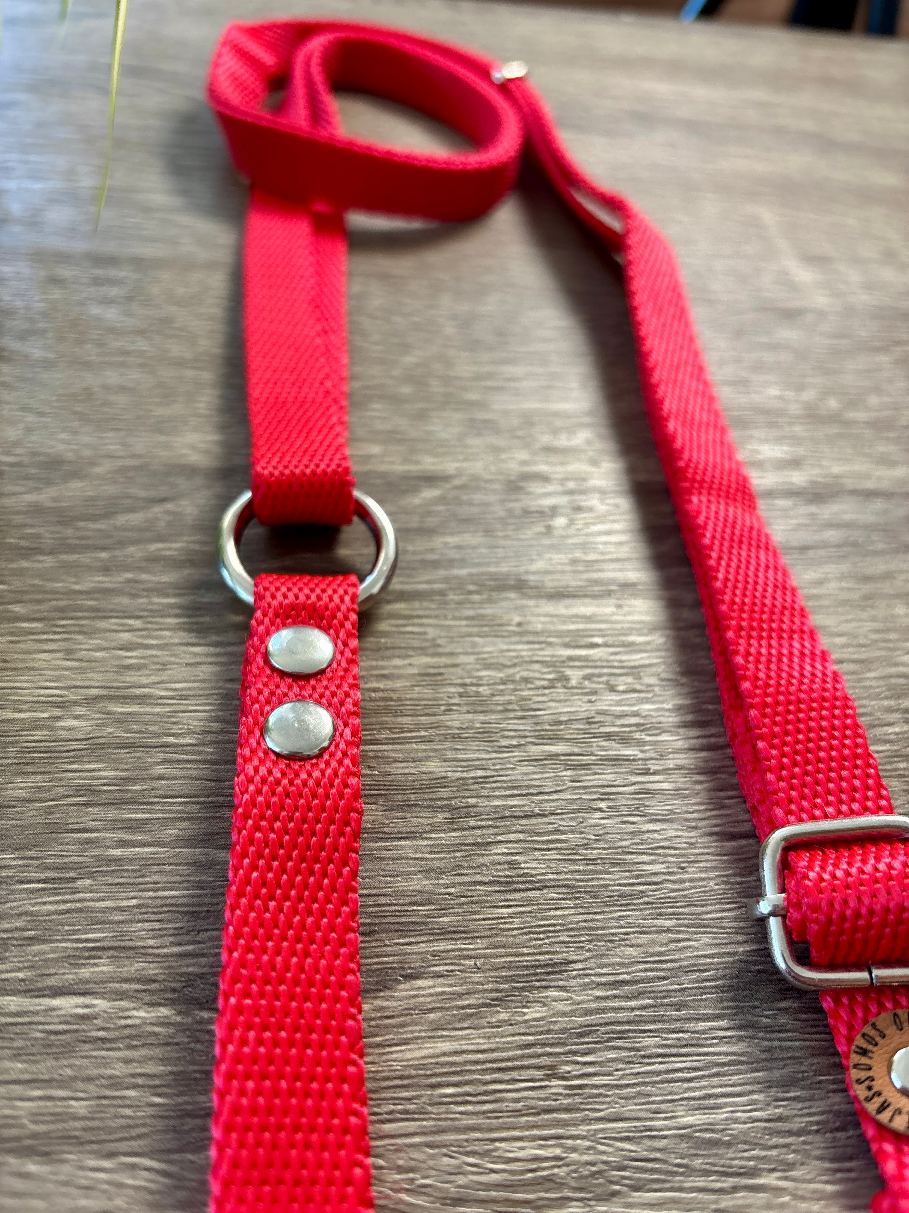 Correa regulable para mascotas - Rojo