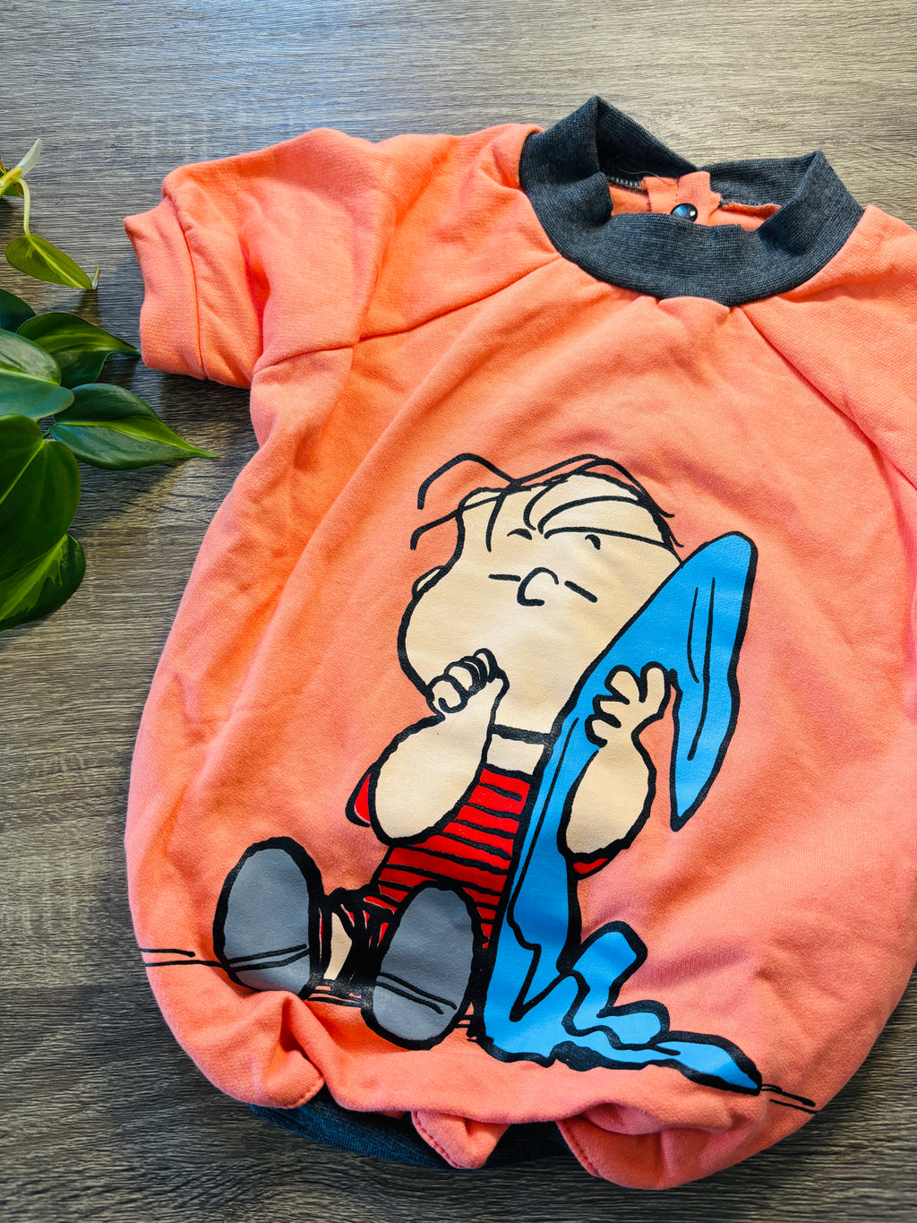 Buzo naranja Linus para mascotas - Talle 8