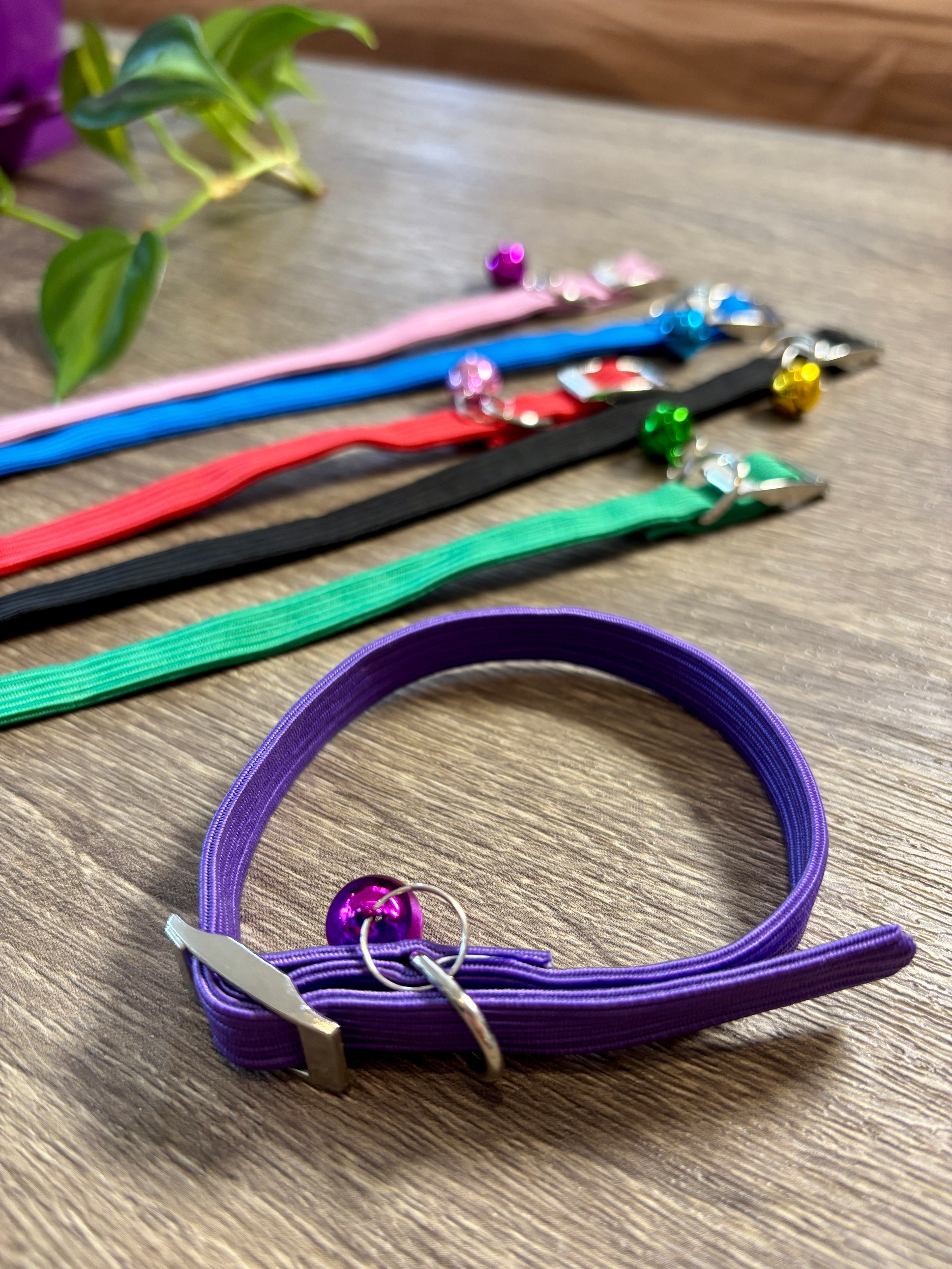 Collar mini elástico para perros o gatos