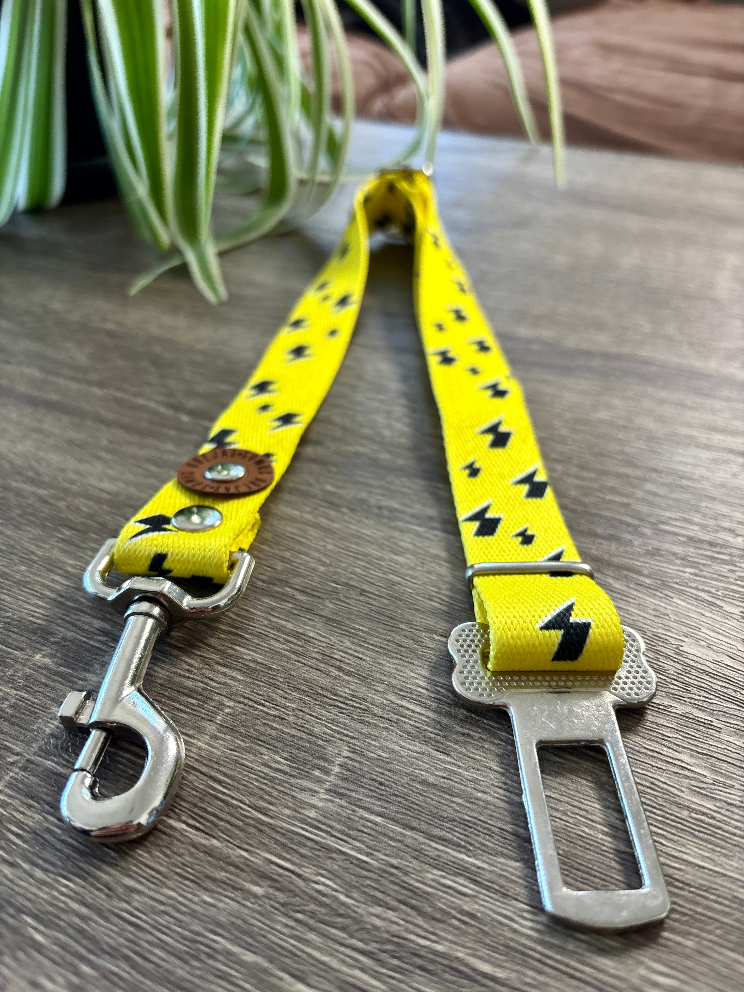 Cinturón de seguridad Rayos para mascotas