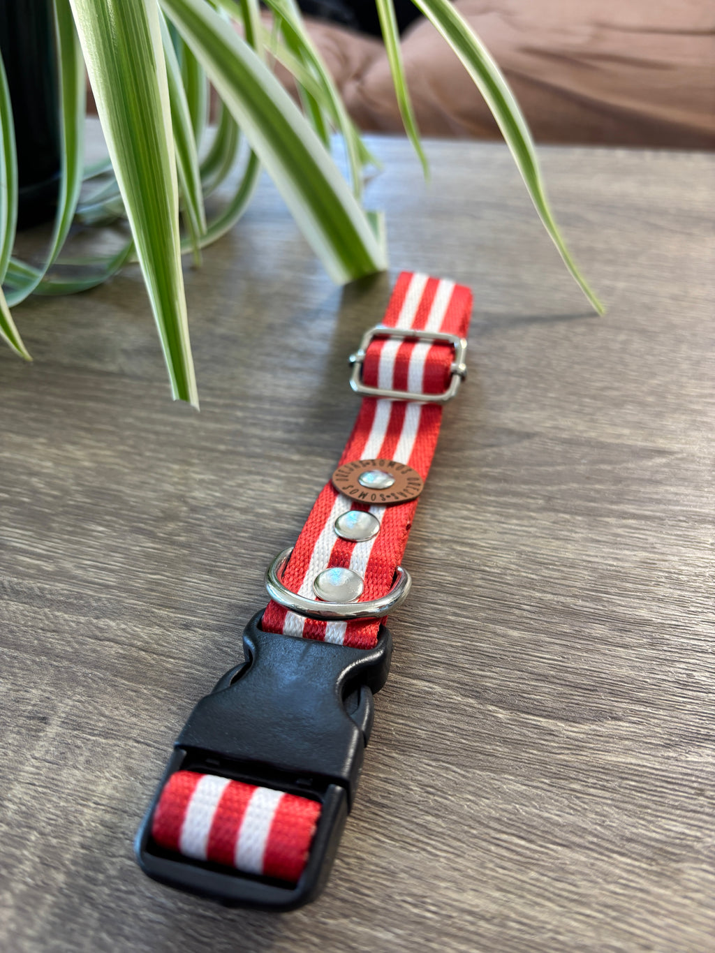Collar regulable para mascotas - Rayas