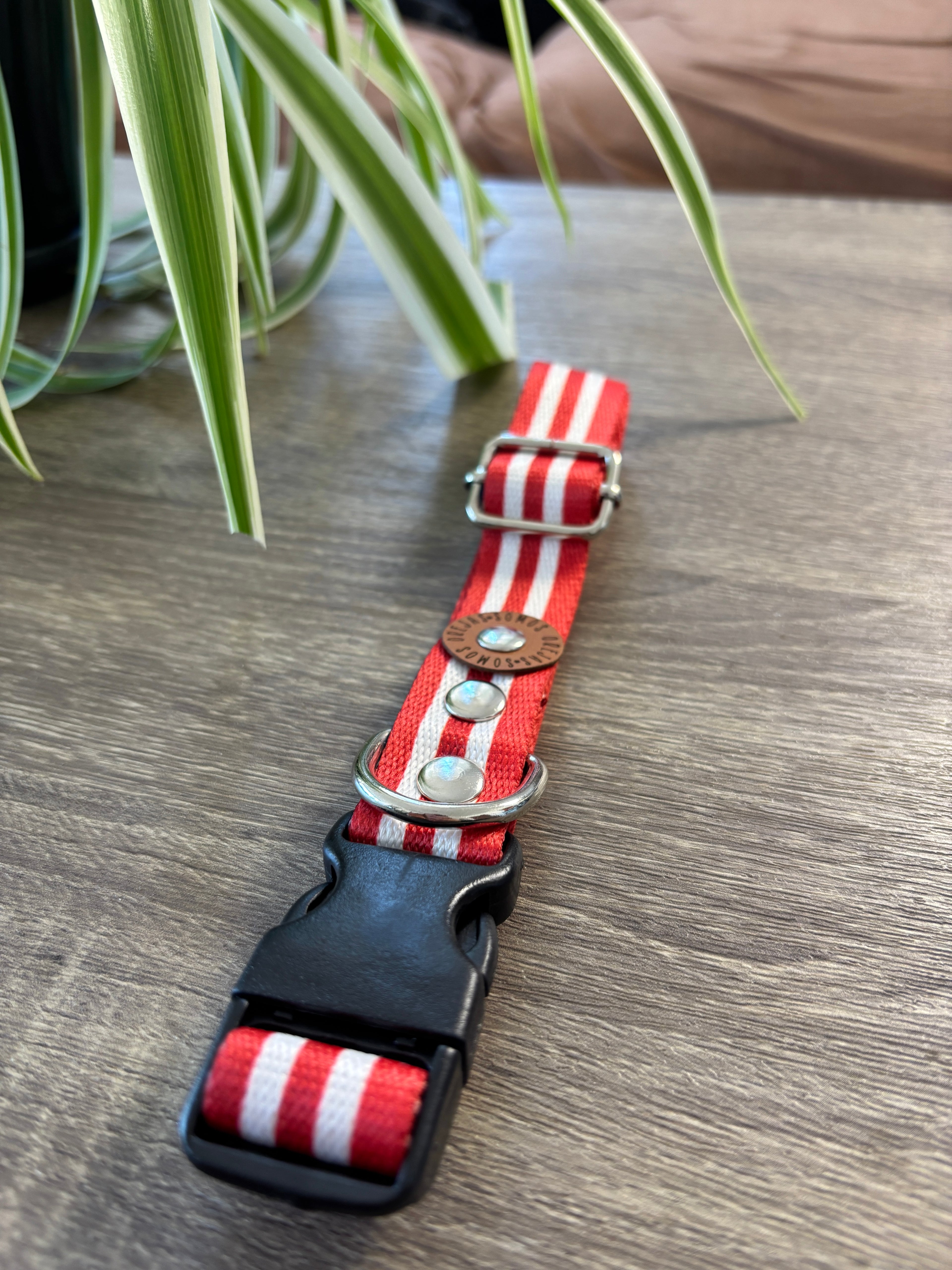 Collar regulable para mascotas - Rayas