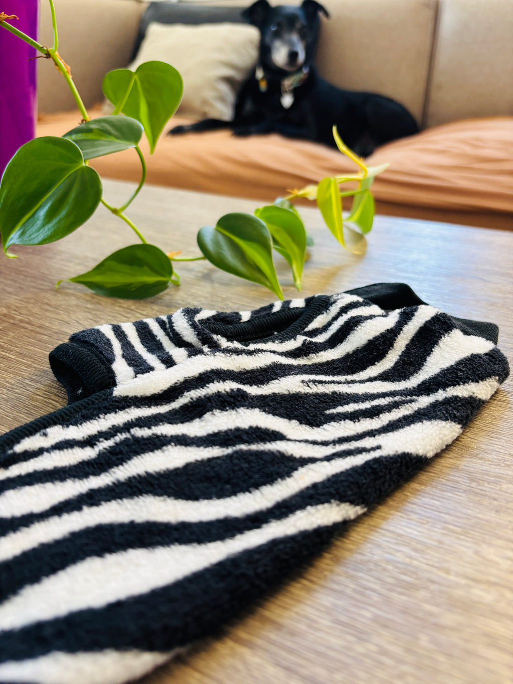 Polar zebra para perros - Talle 0