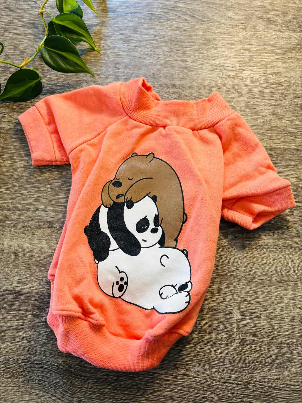 Buzo naranja Escandalosos para mascotas - Talle 3
