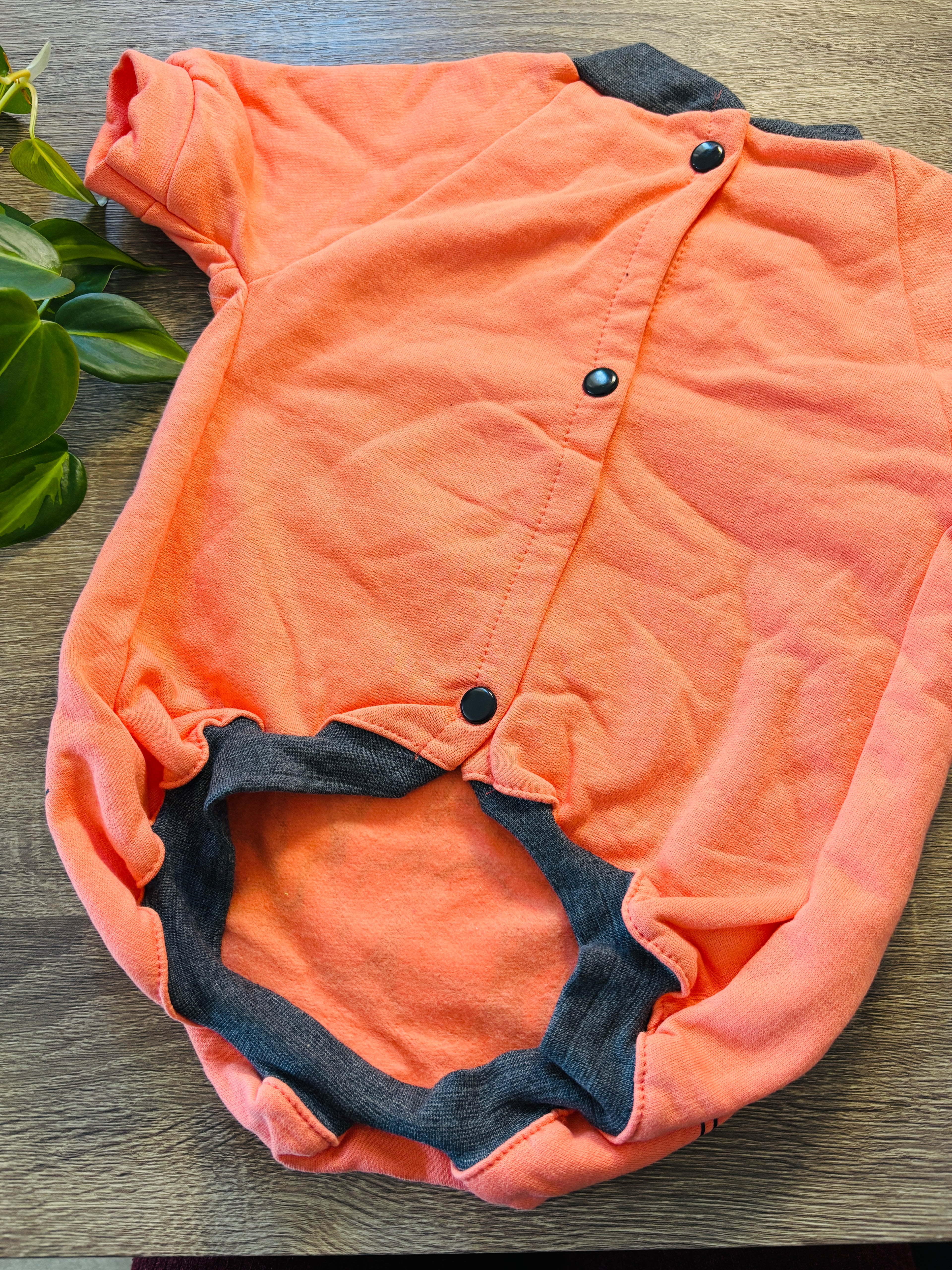 Buzo naranja Linus para mascotas - Talle 8