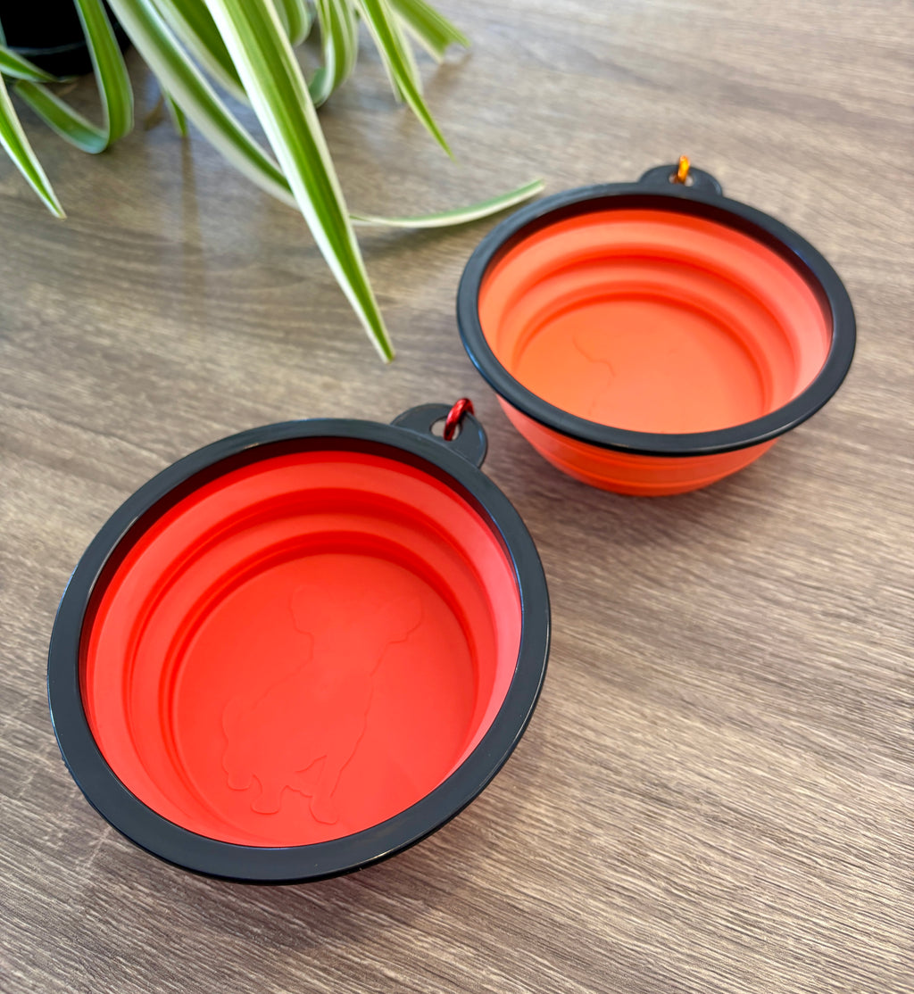 Plato plegable para mascotas