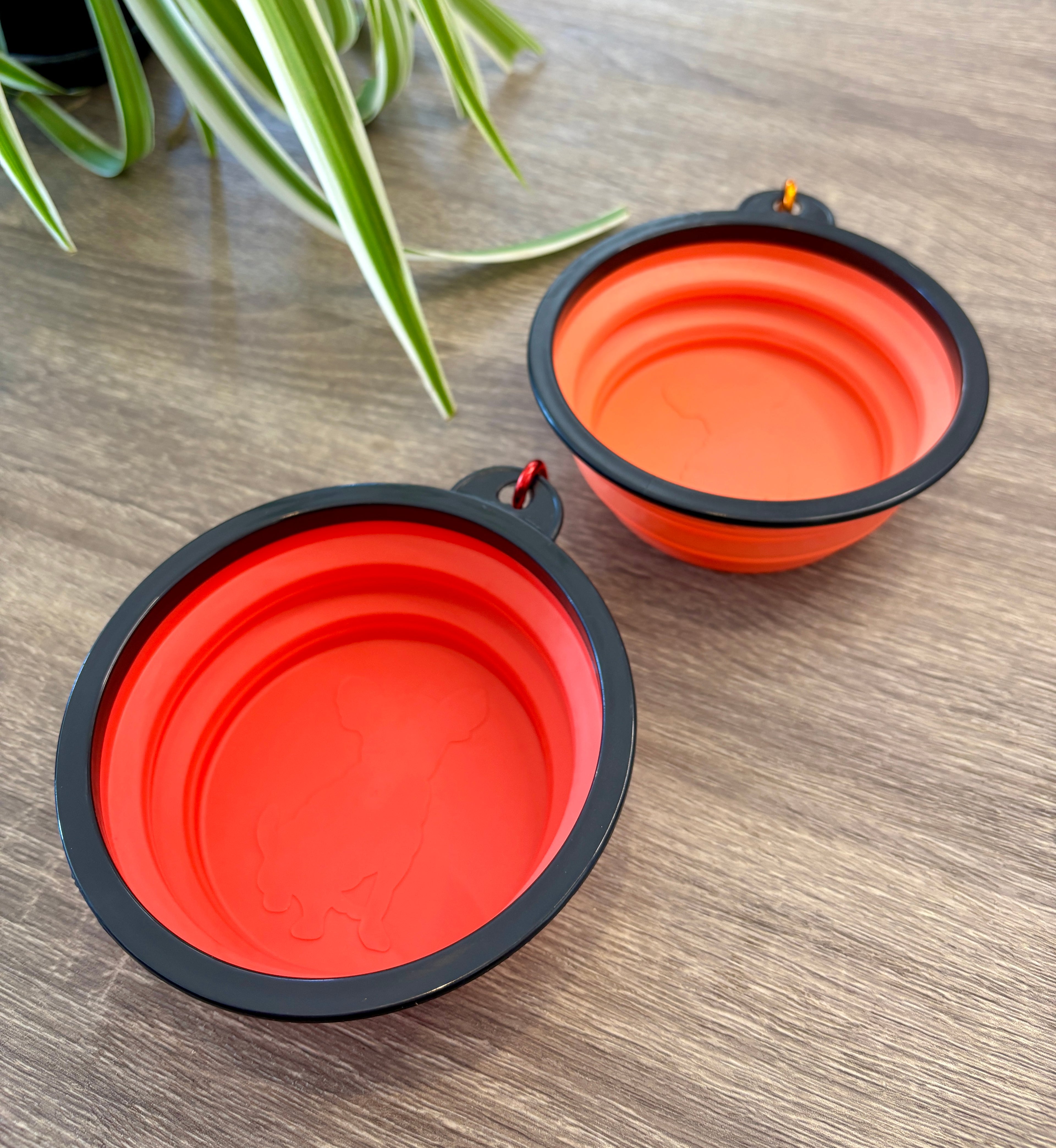 Plato plegable para mascotas