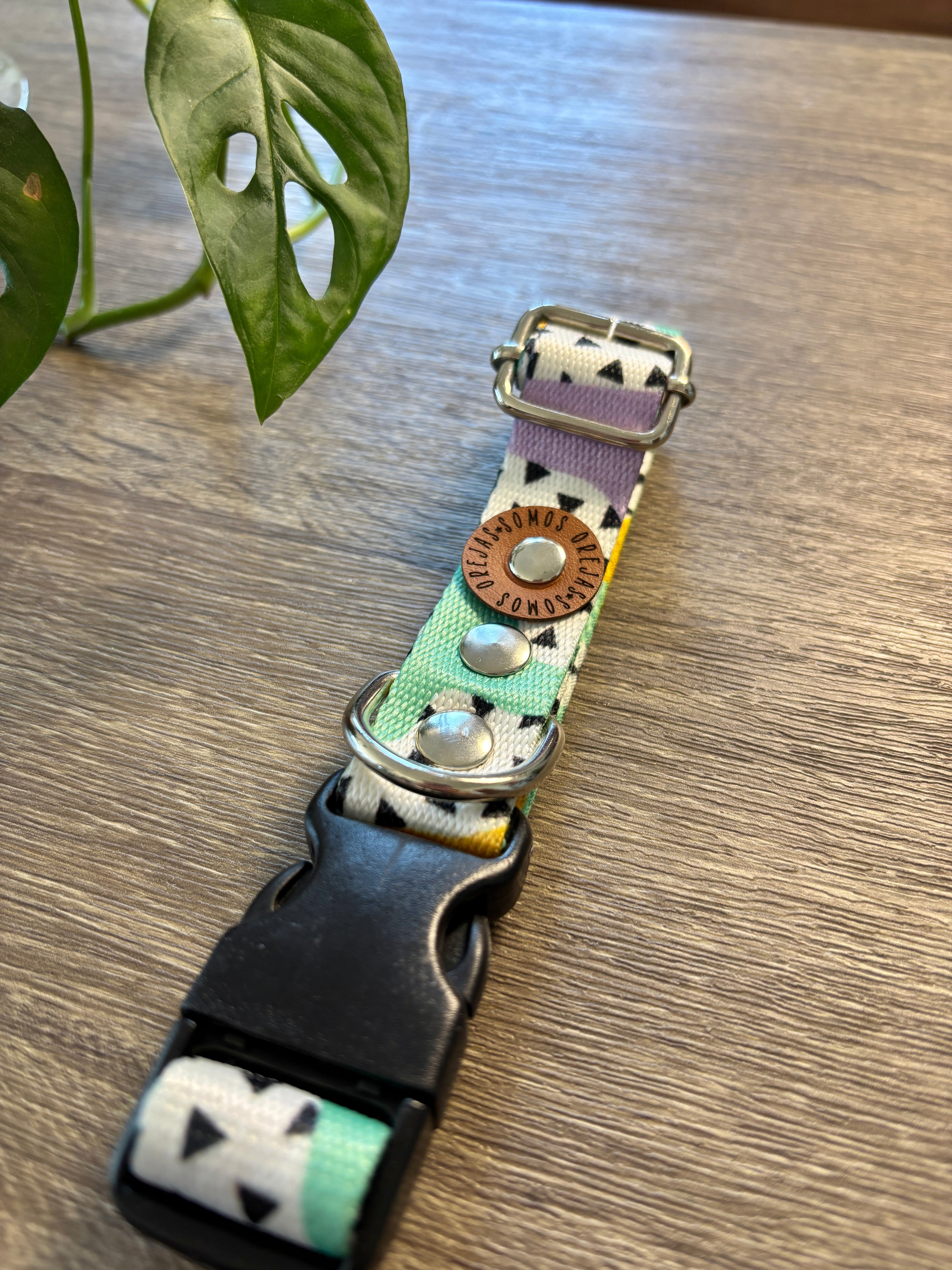 Collar regulable para mascotas - Colores