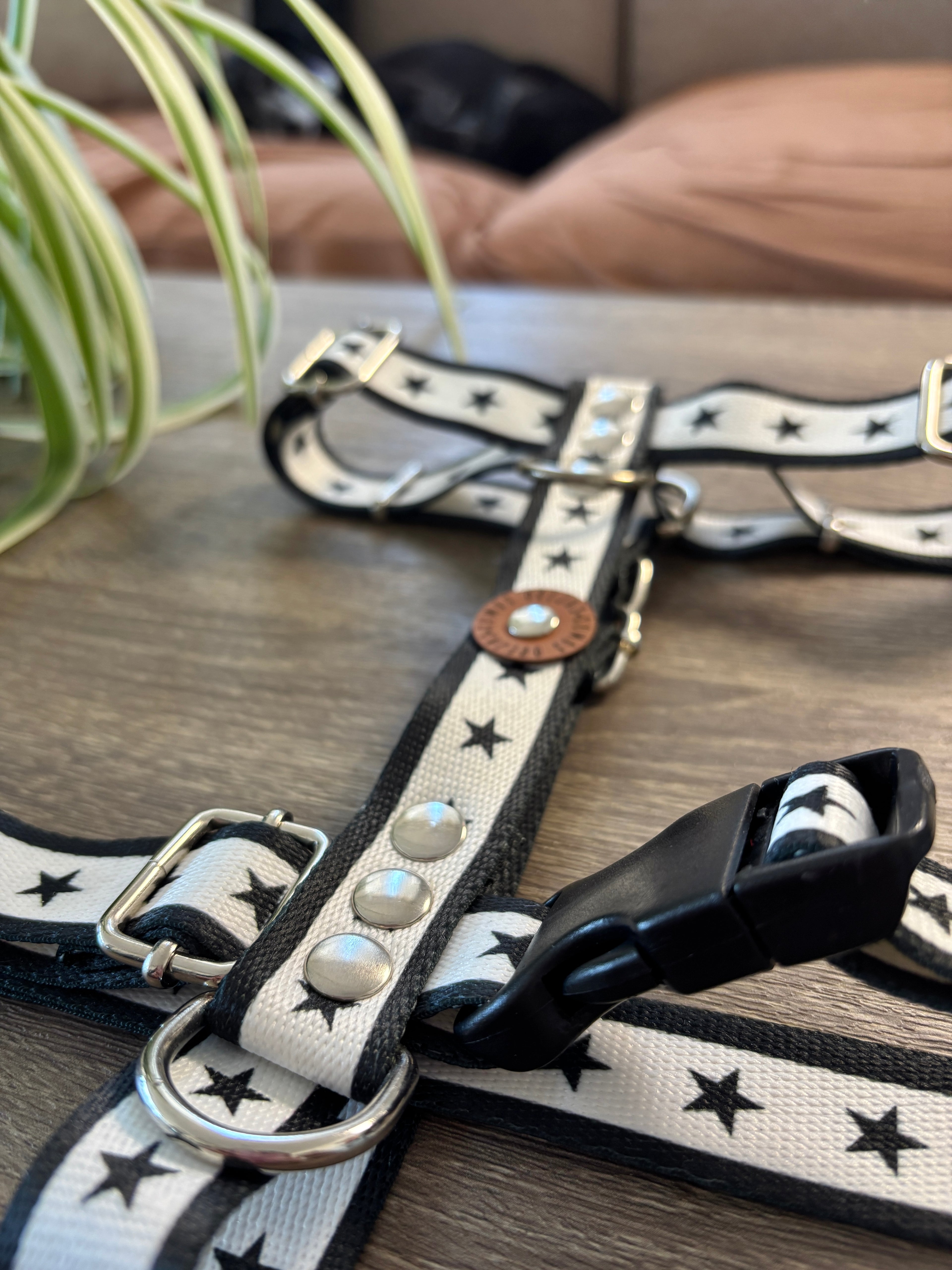 Pretal para perros - Estrella