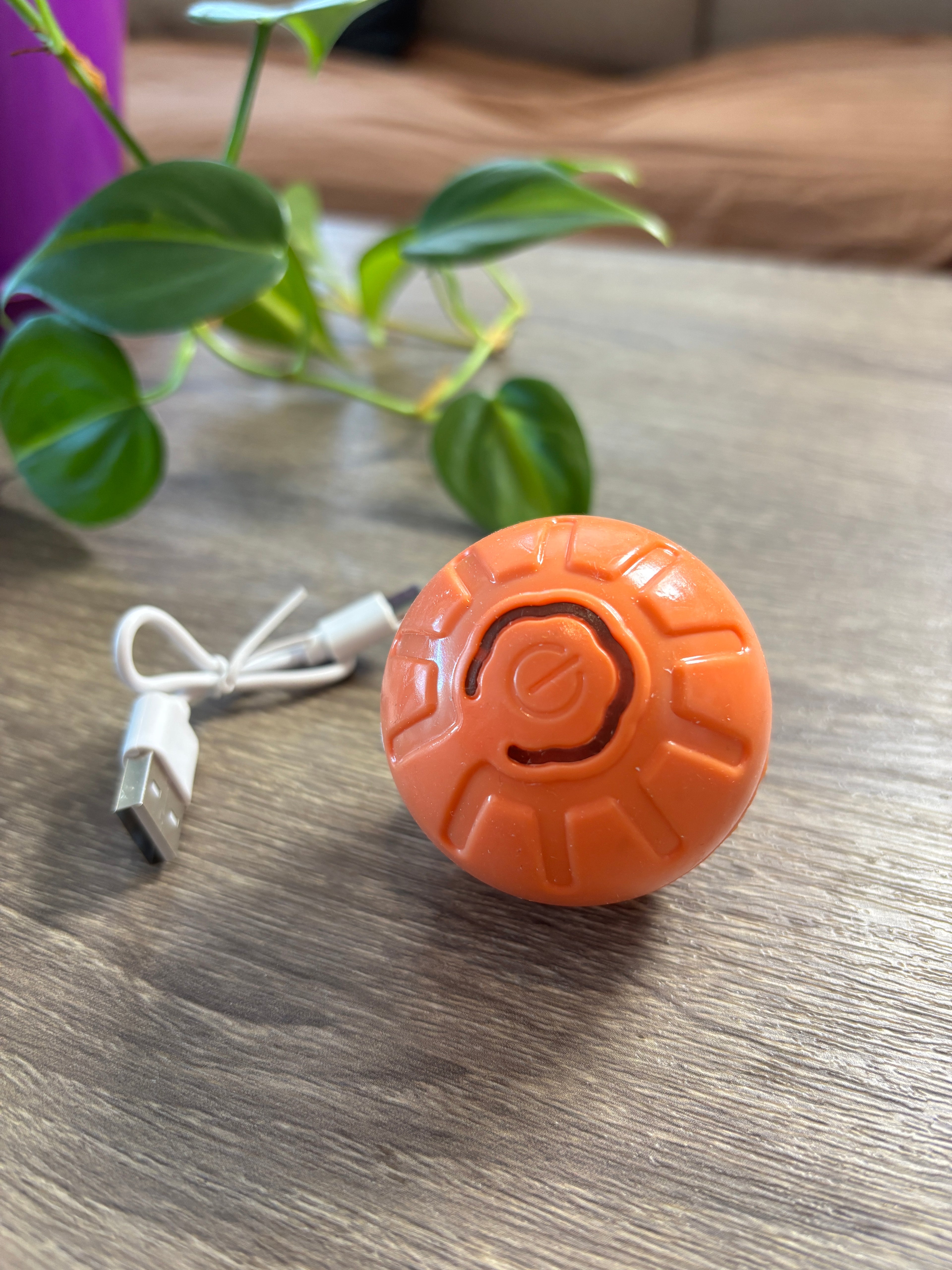 Pelota interactiva recargable para mascotas