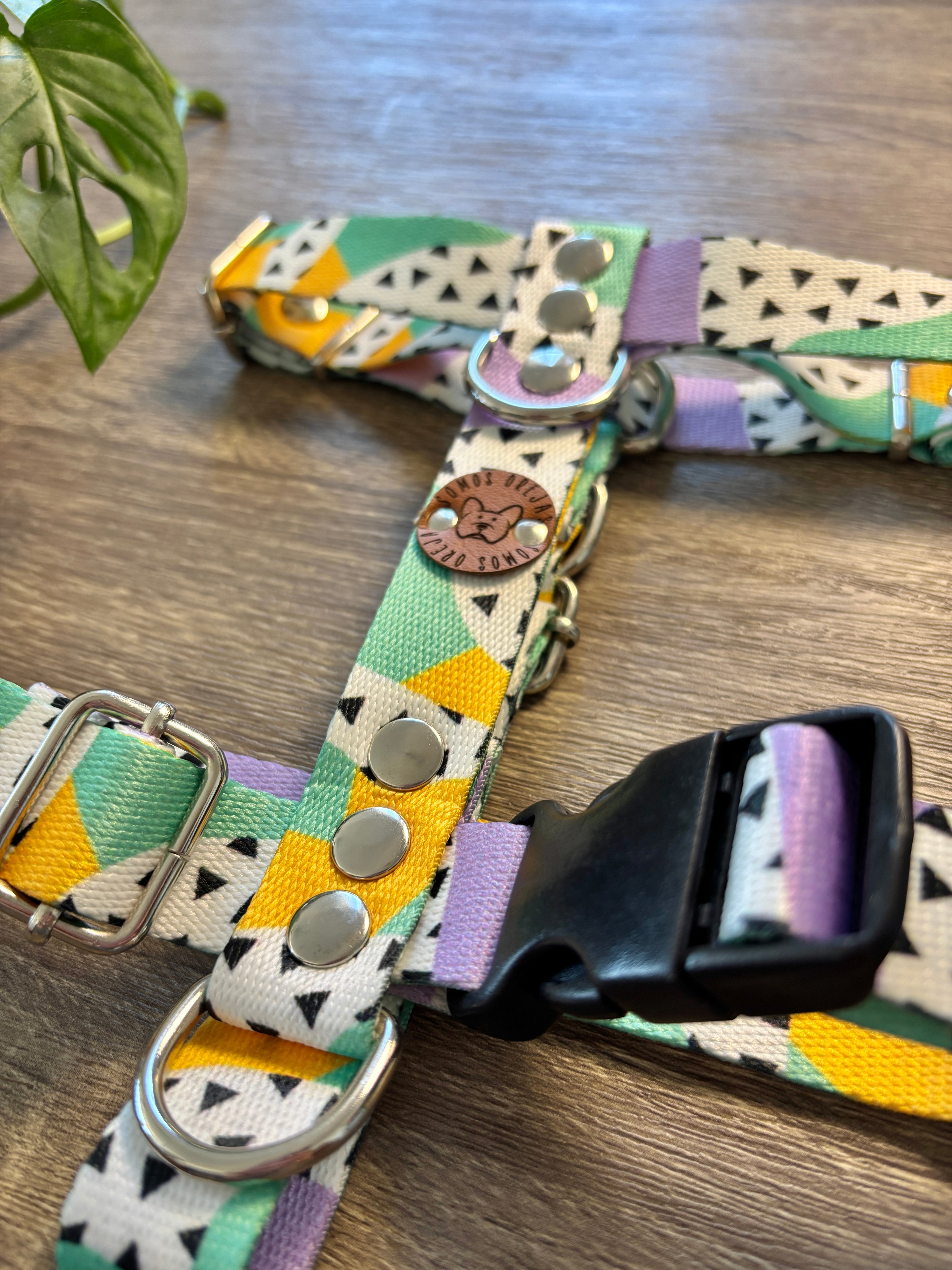 Pretal para perros - Colores