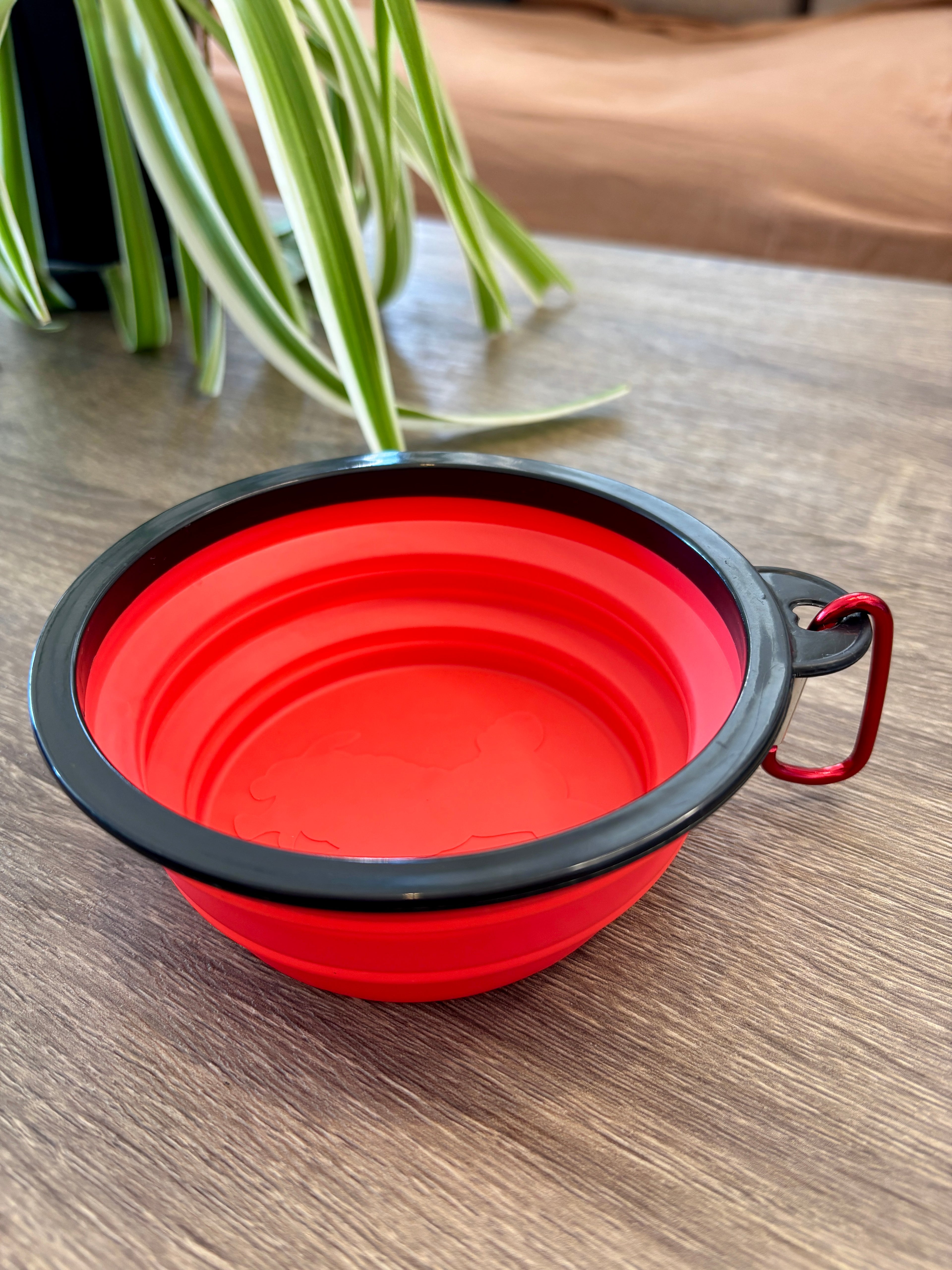 Plato plegable para mascotas