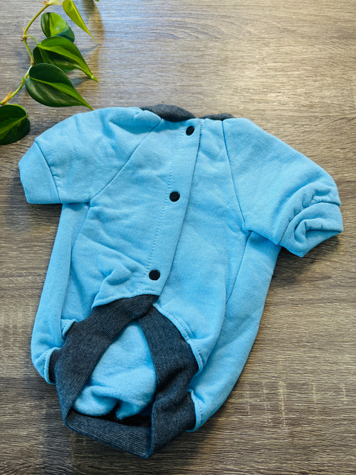 Buzo celeste Charly Brown para mascotas - Talle 3
