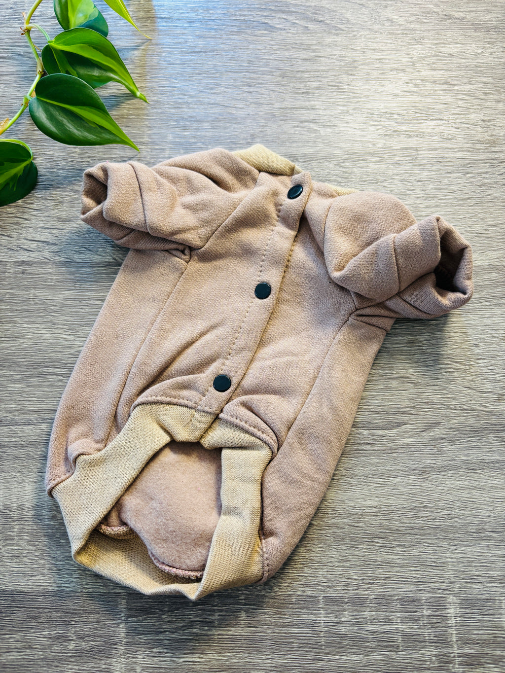 Buzo beige Snoopy para mascotas - Talle 1