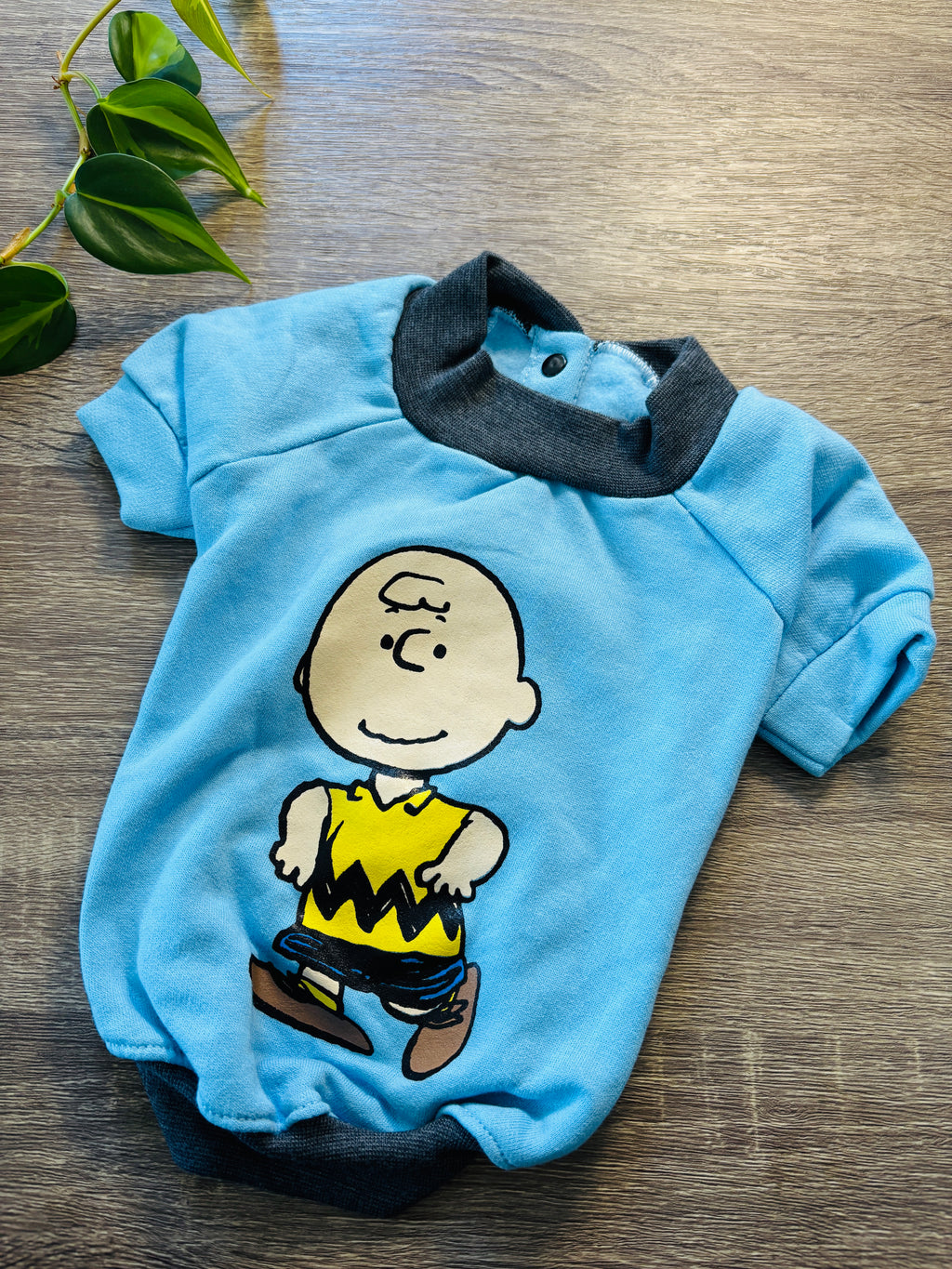 Buzo celeste Charly Brown para mascotas - Talle 3