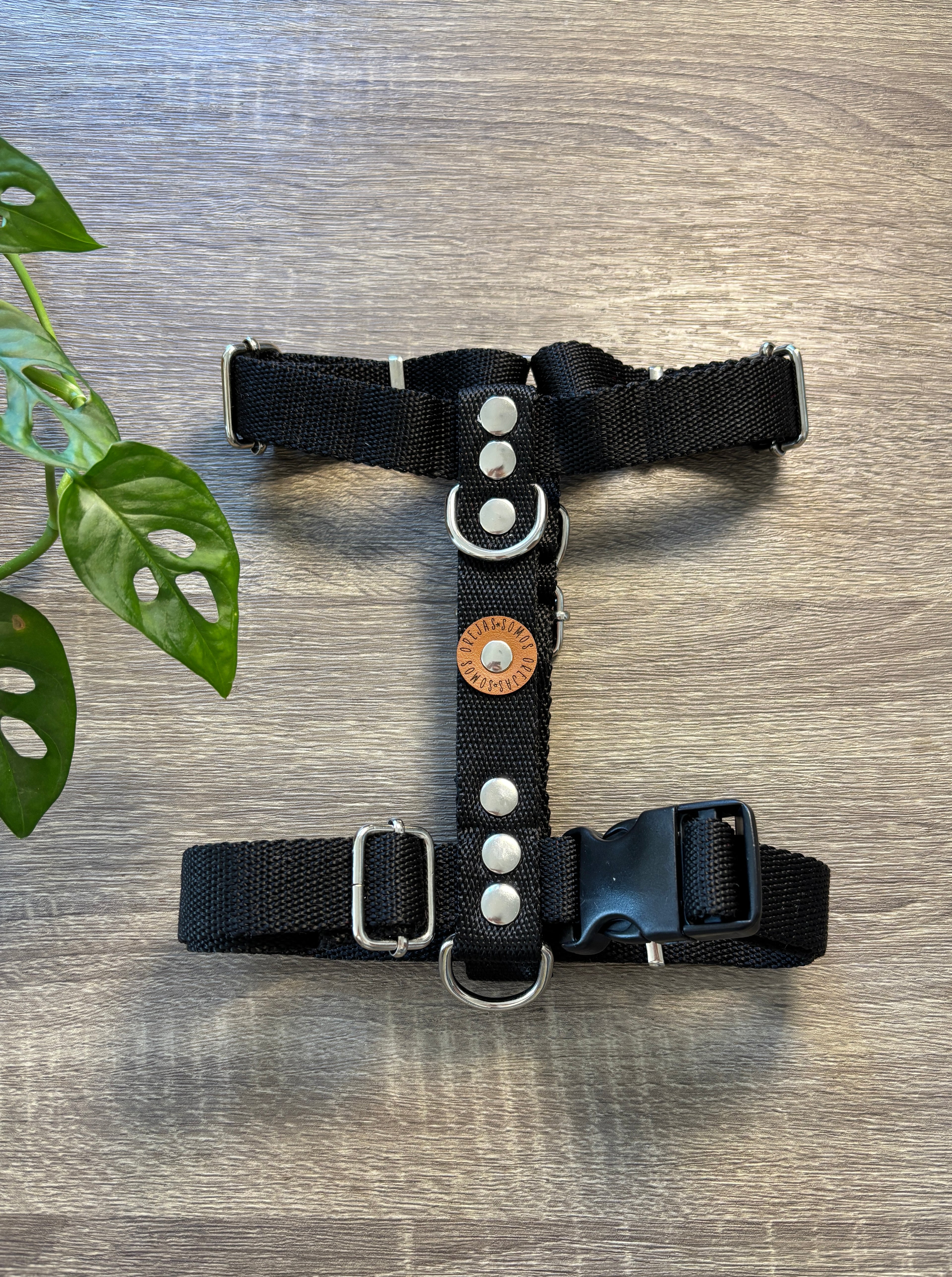 Pretal para perros - Negro