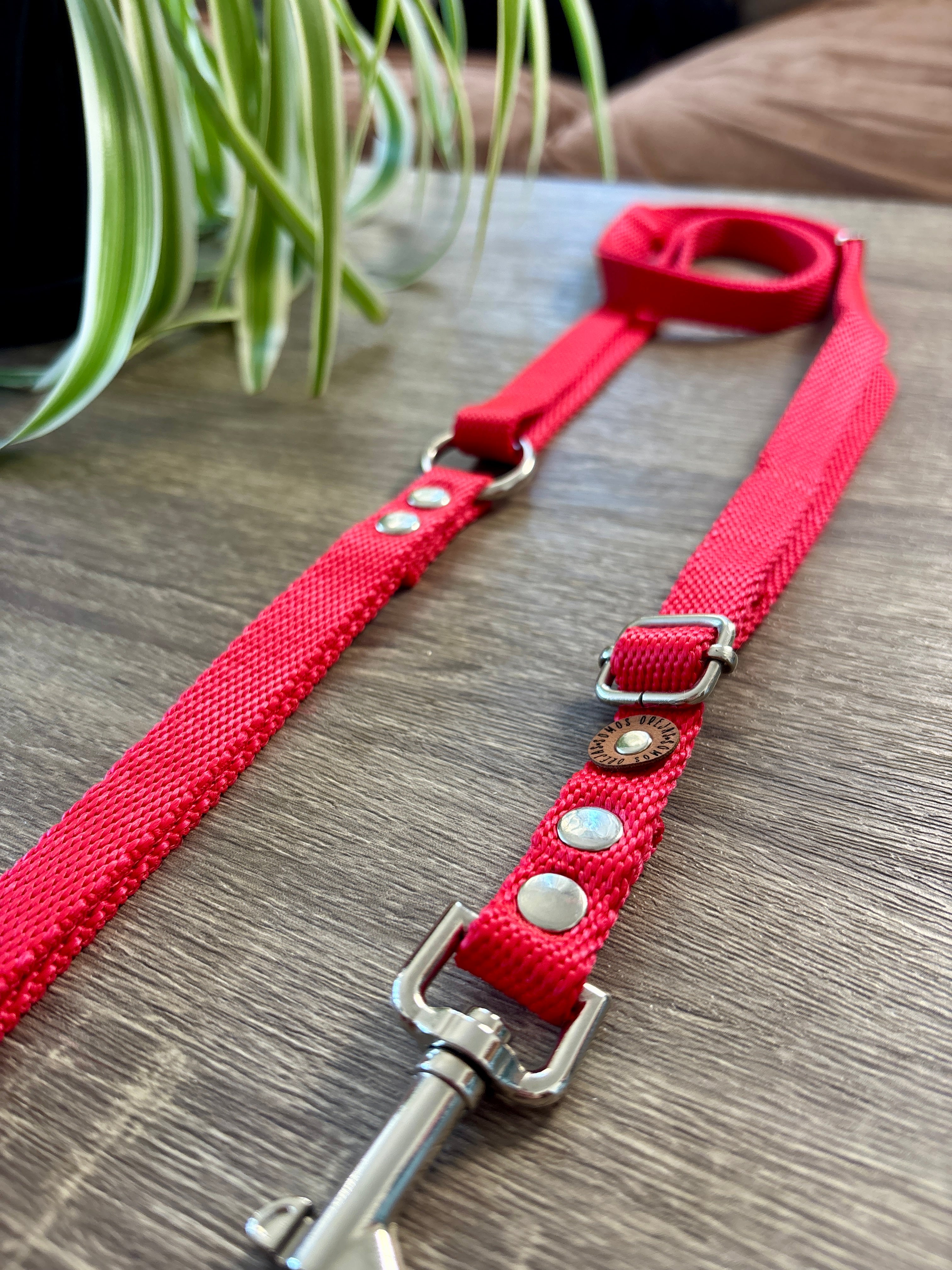 Correa regulable para mascotas - Rojo