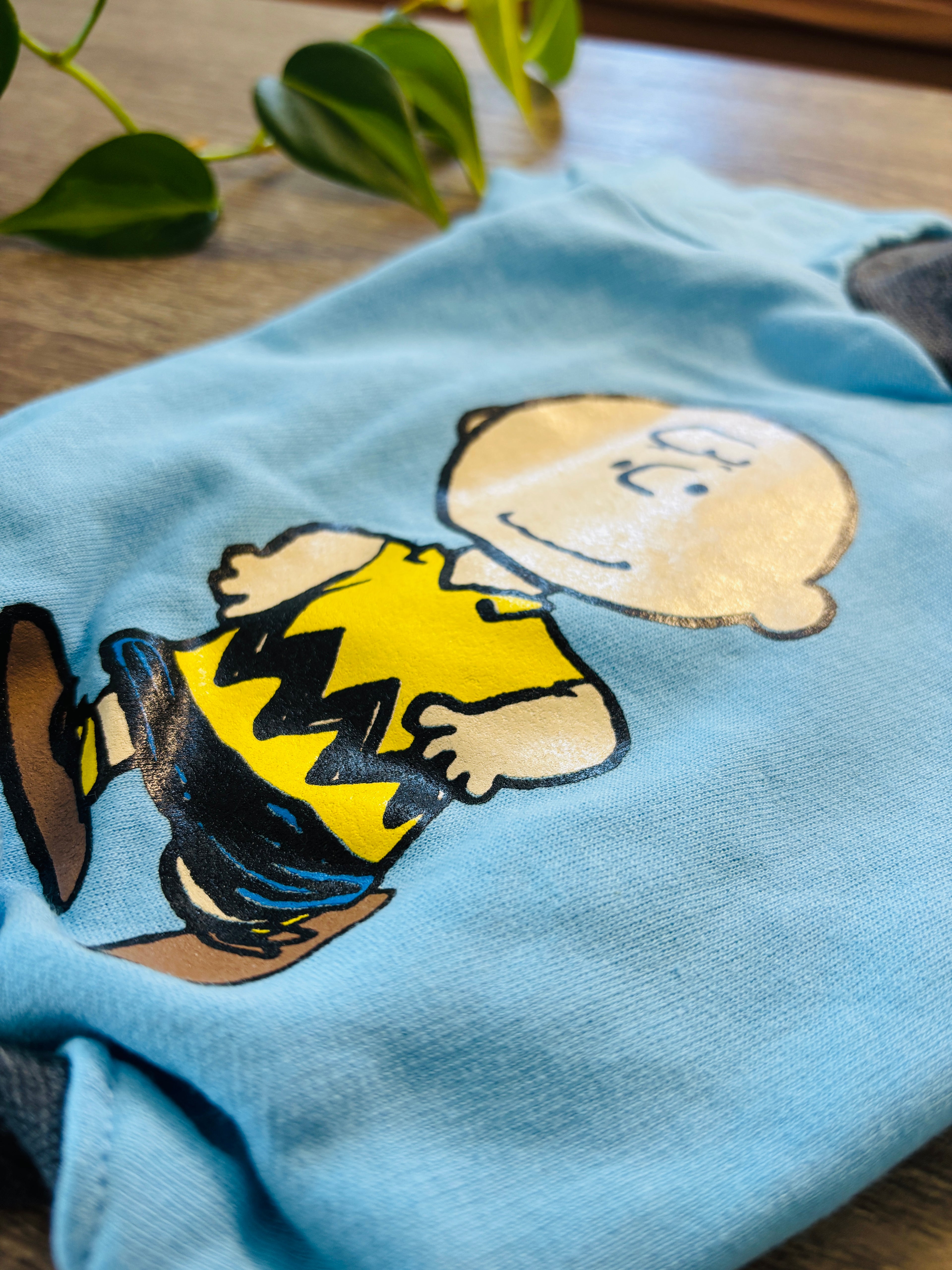 Buzo celeste Charly Brown para mascotas - Talle 3