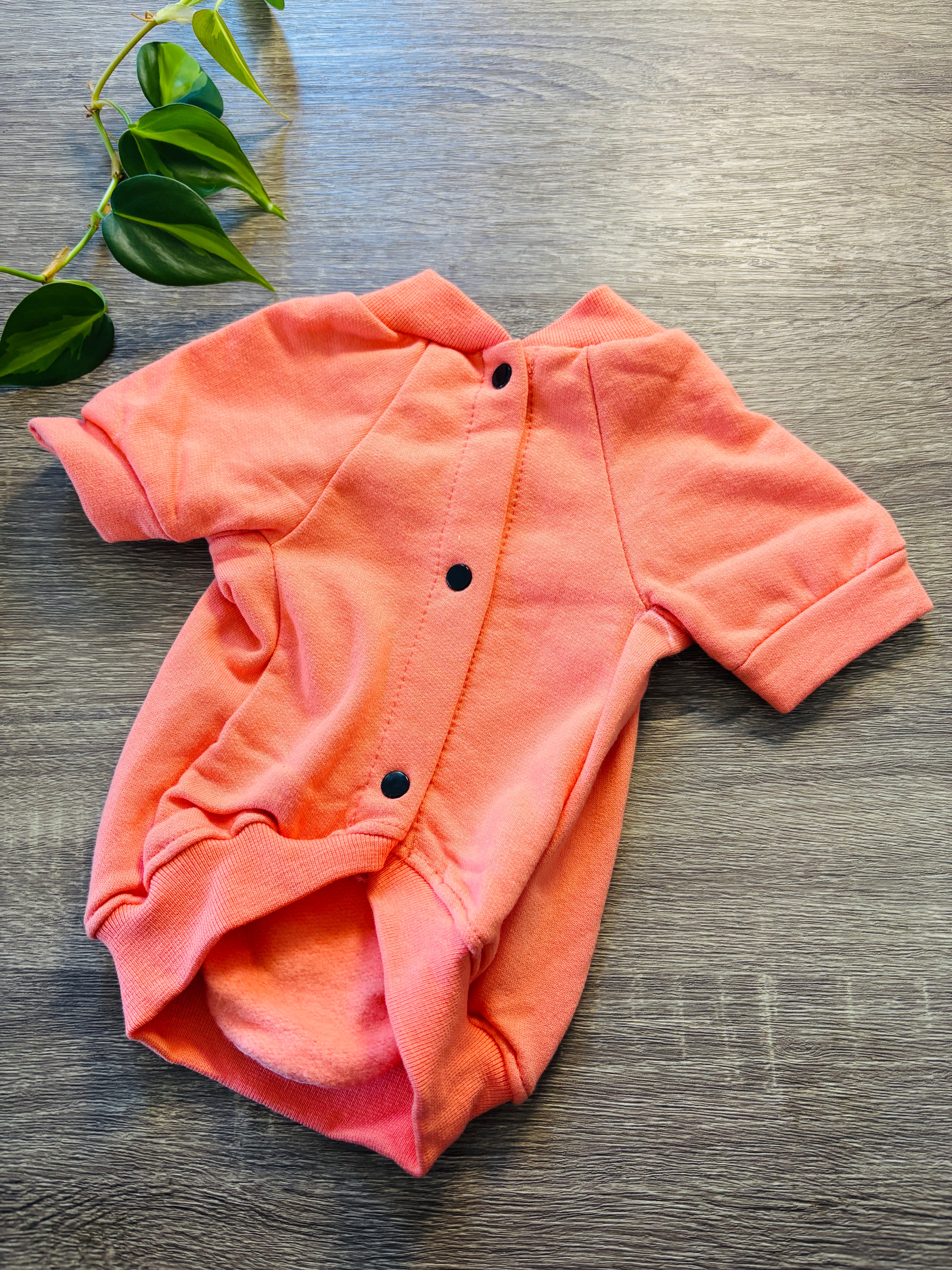 Buzo naranja Escandalosos para mascotas - Talle 3