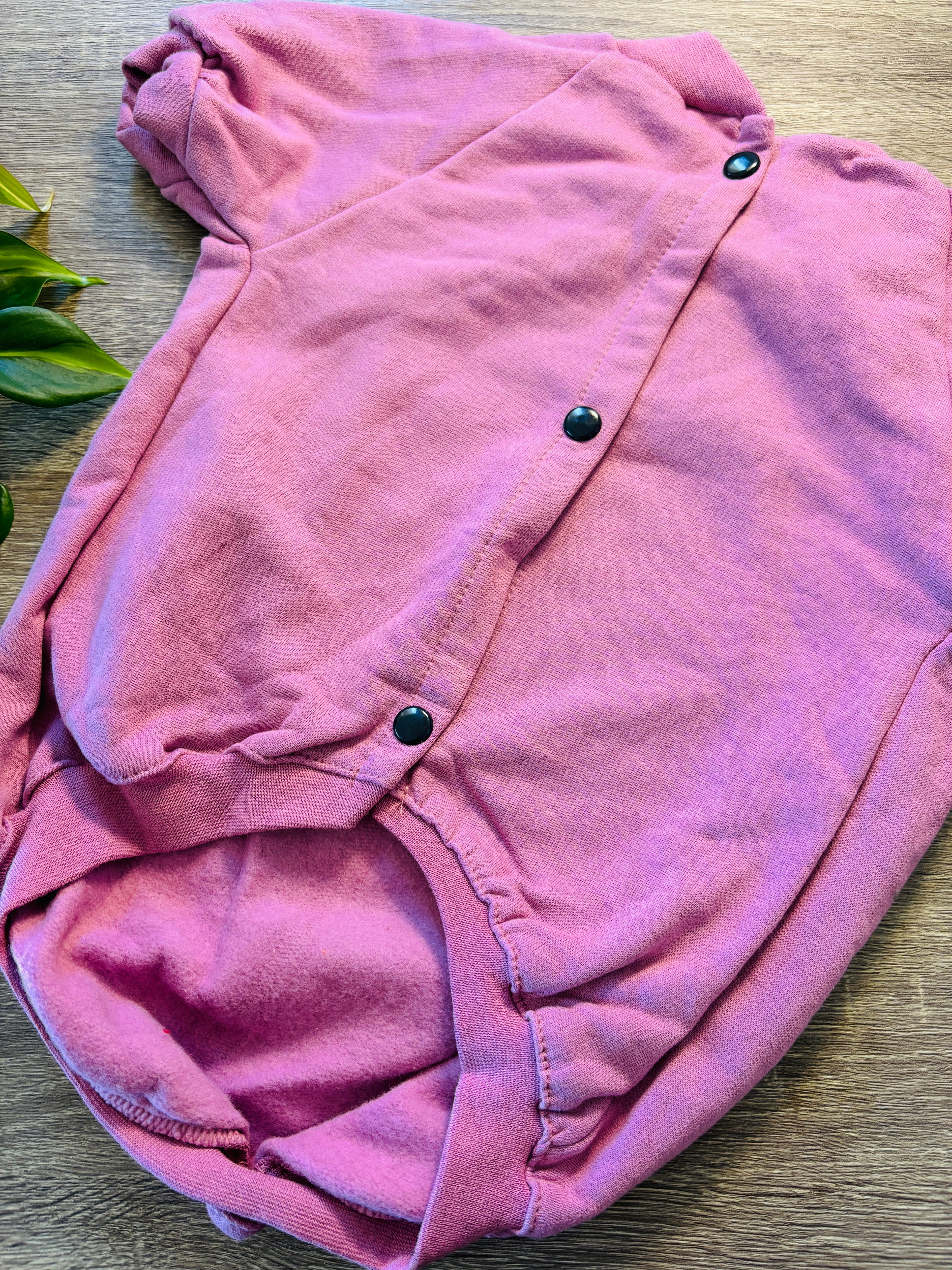 Buzo rosa Melody para mascotas - Talle 8
