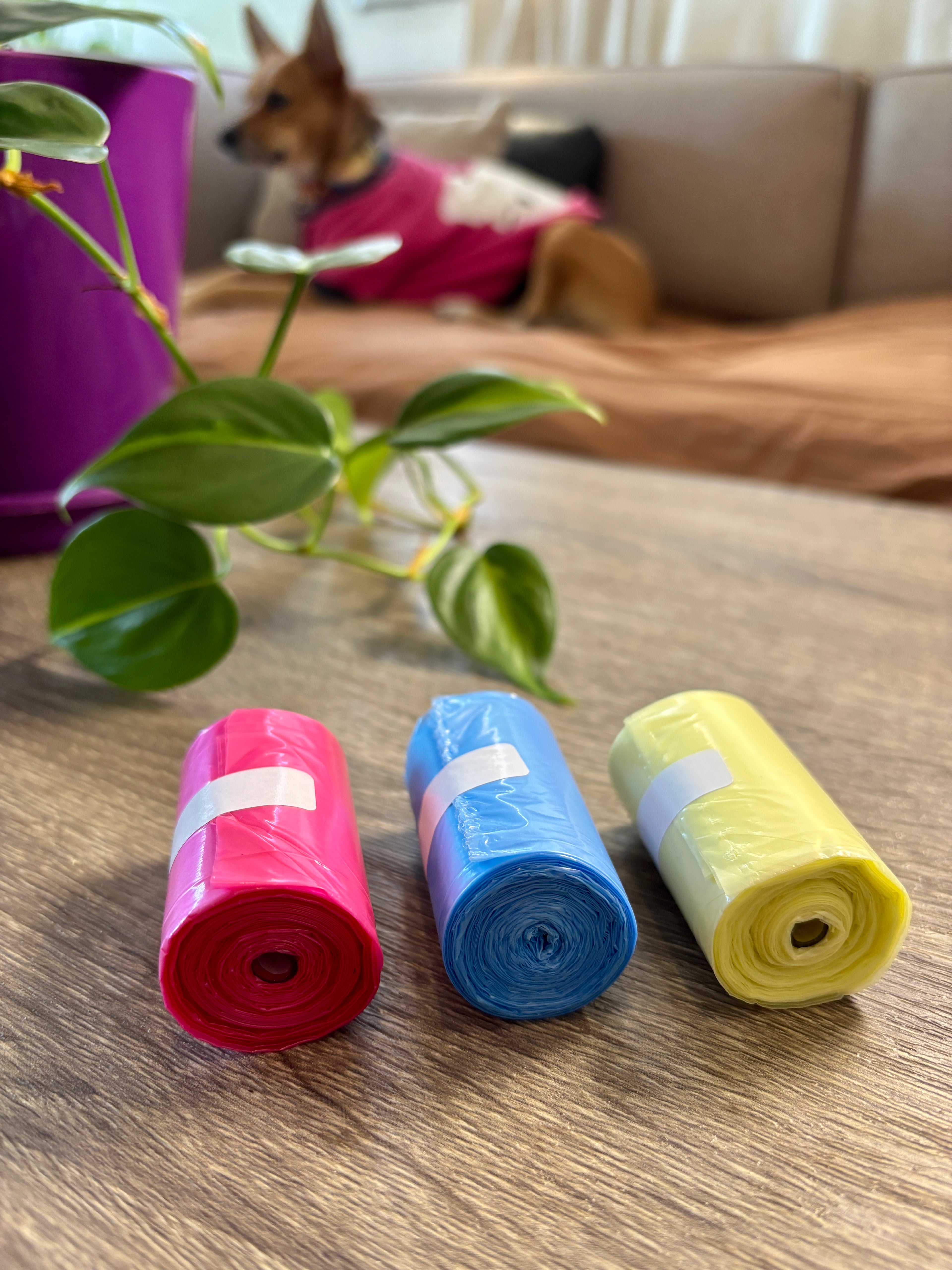 Bolsa Sanitaria para mascotas (x3 rollos)