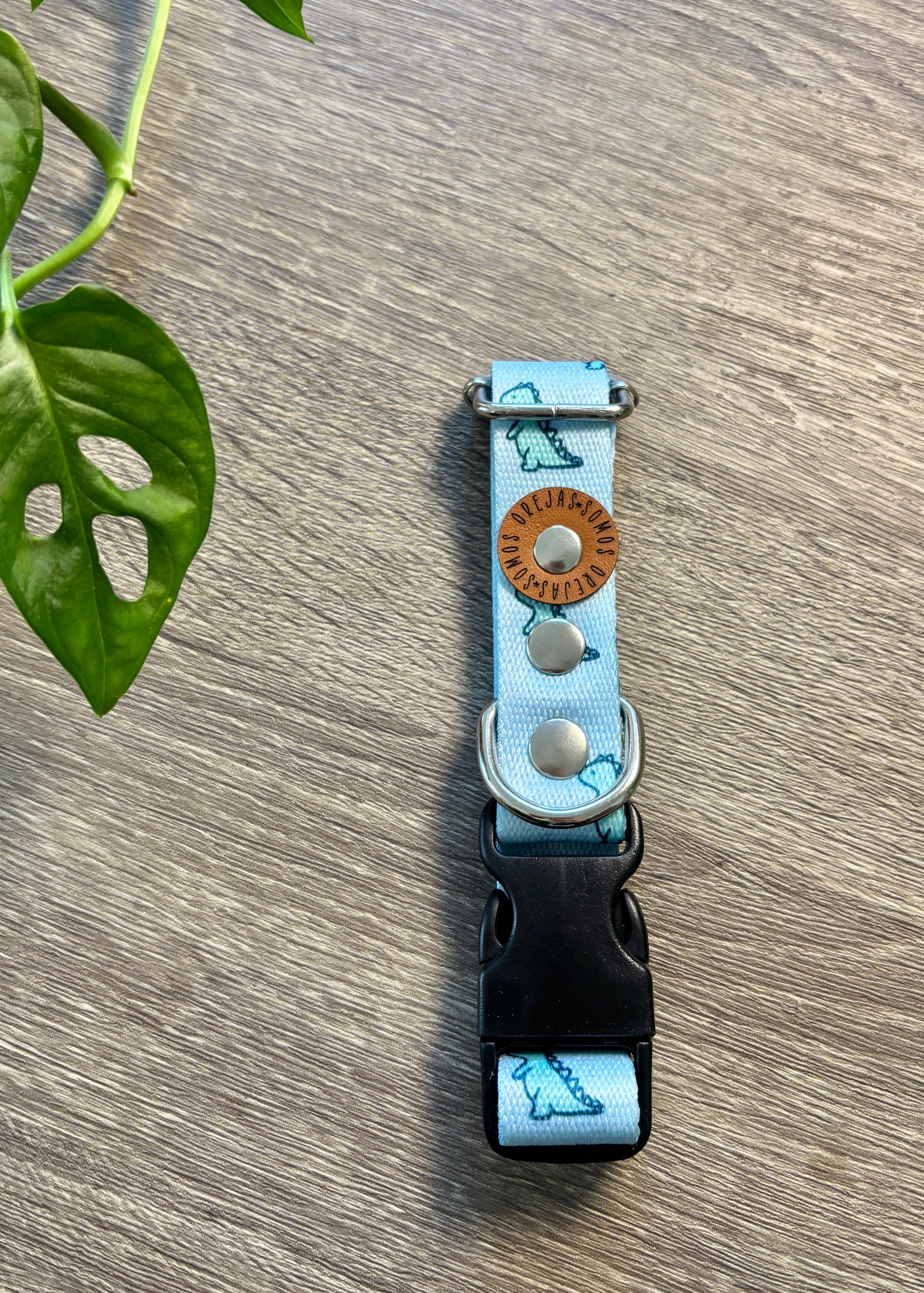 Collar regulable para mascotas - Dino