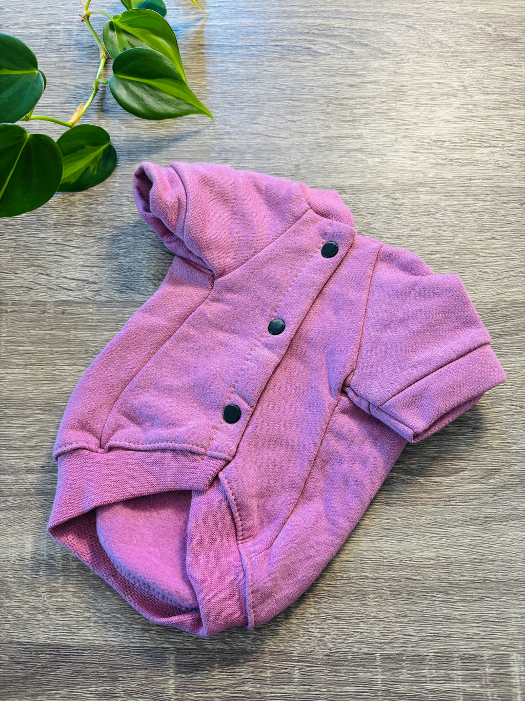 Buzo rosa Melody para mascotas - Talle 1