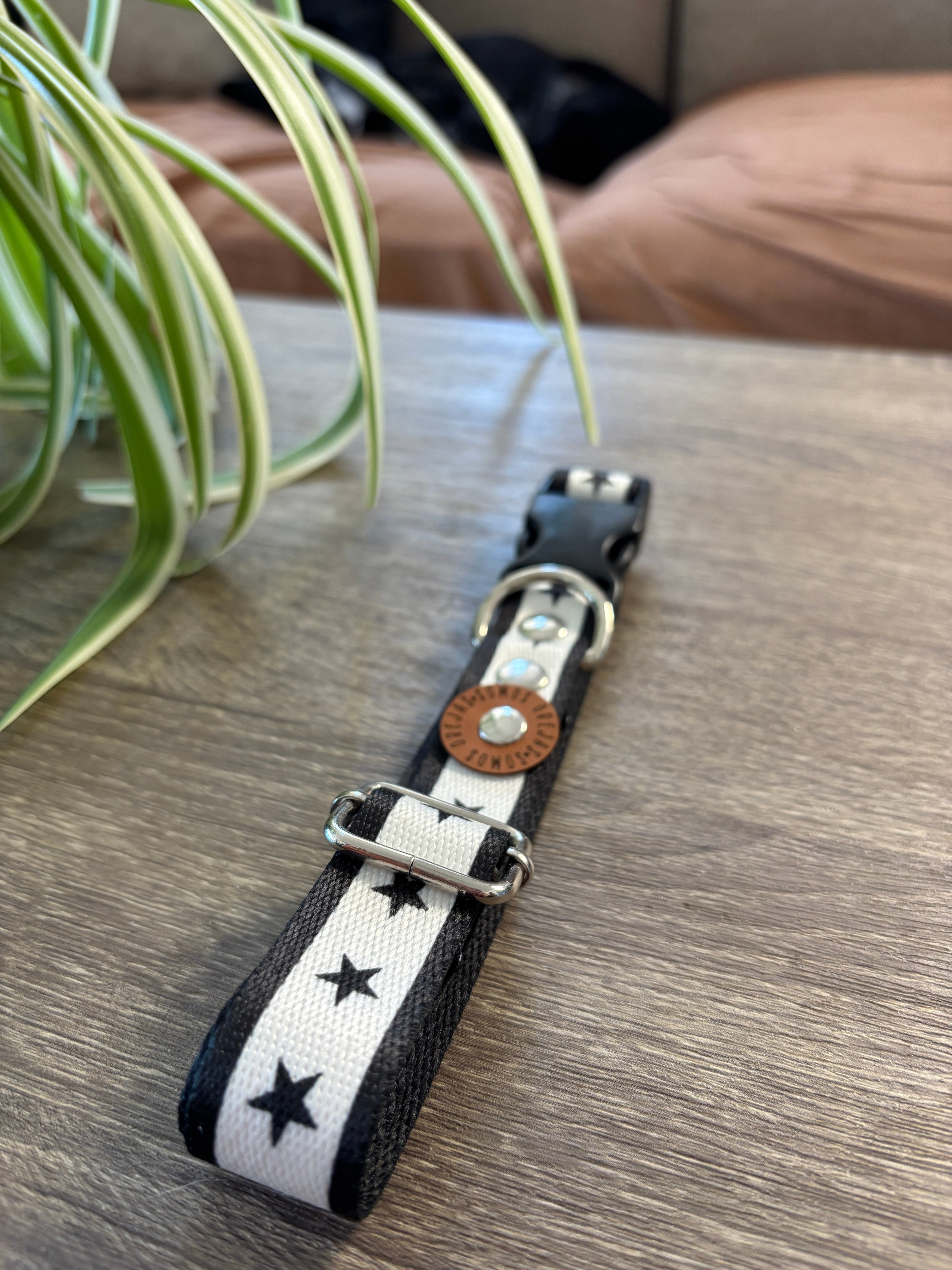 Collar regulable para mascotas - Estrella
