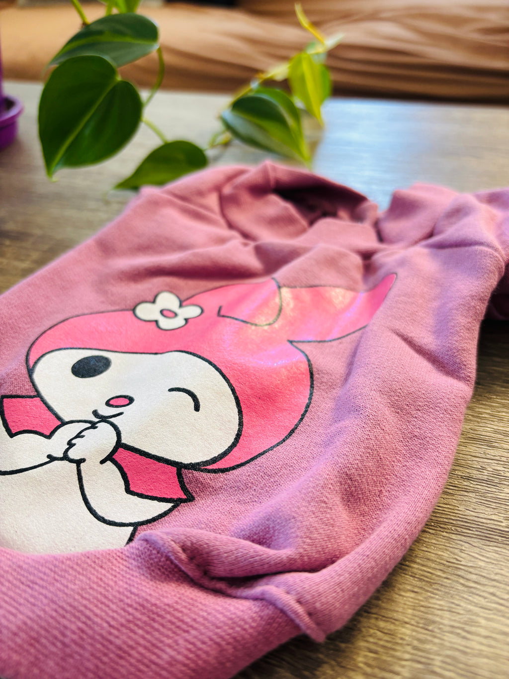 Buzo rosa Melody para mascotas - Talle 1