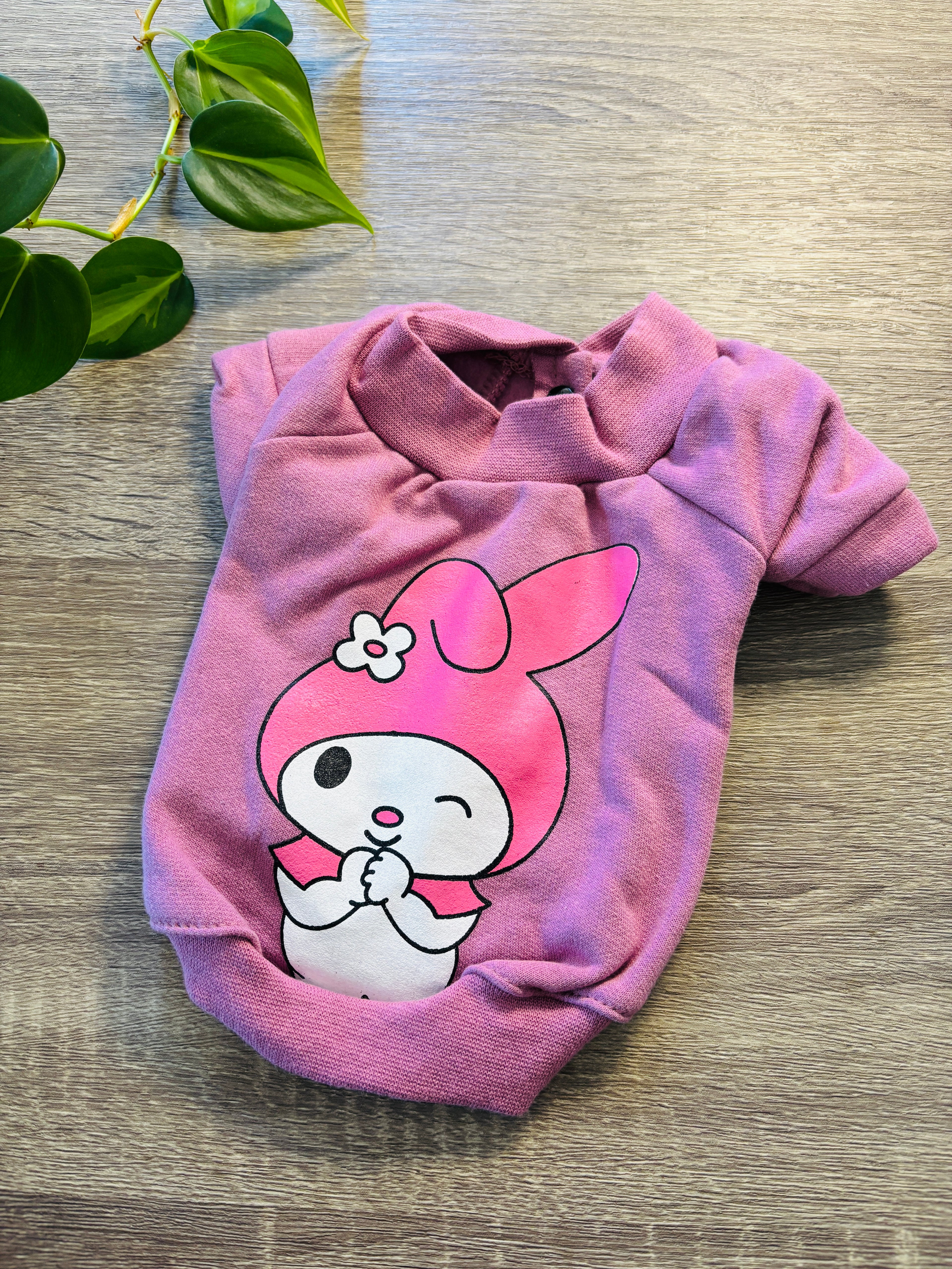 Buzo rosa Melody para mascotas - Talle 1