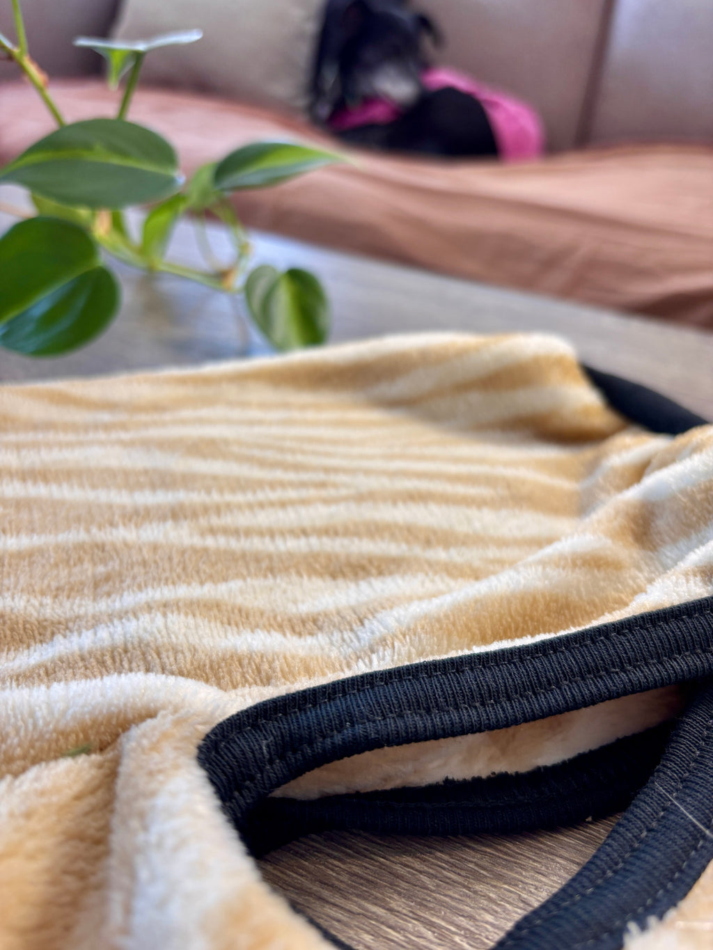 Polar zebra beige para perros - Talle 6