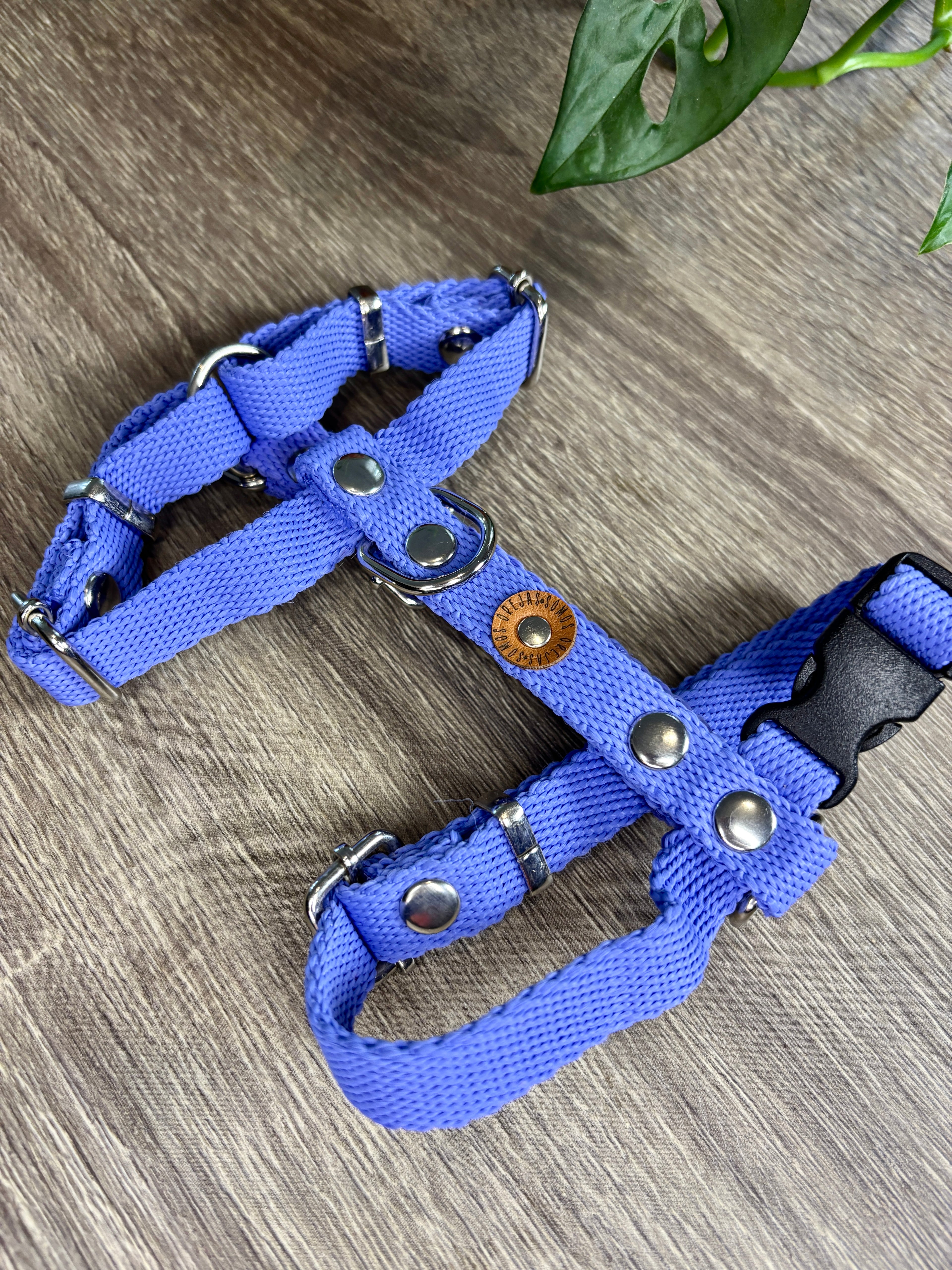 Pretal para perros - Lavanda