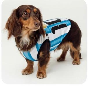 Camiseta Argentina para mascotas
