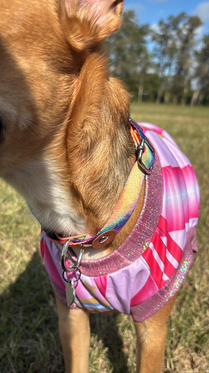 Camiseta Argentina pink para mascotas