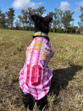 Camiseta Argentina pink para mascotas