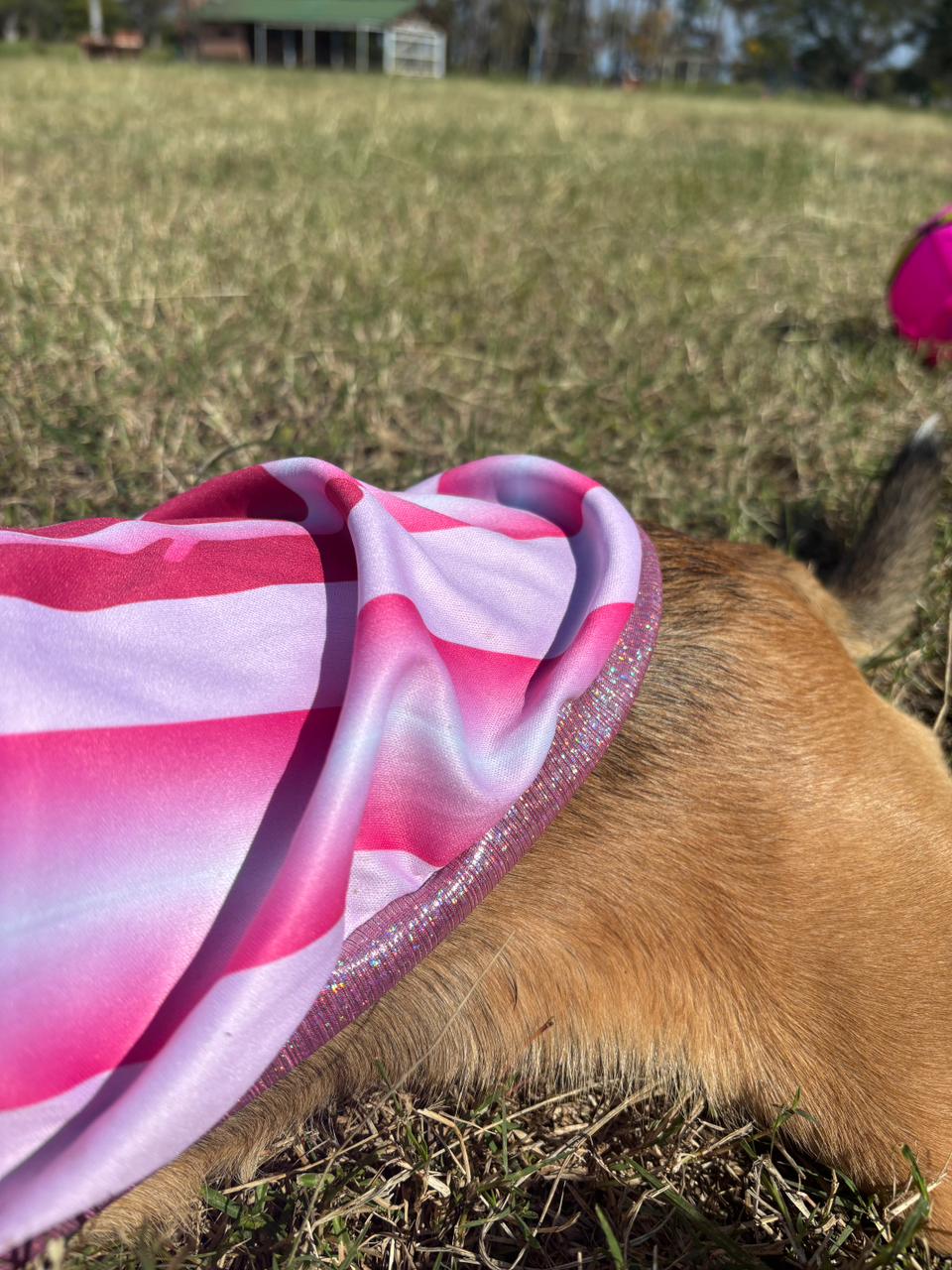 Camiseta Argentina pink para mascotas