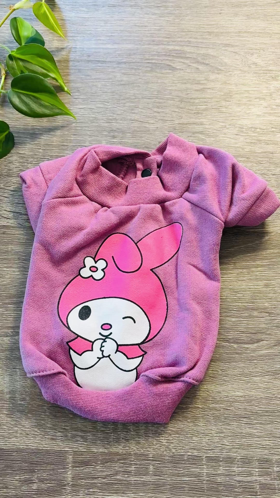Buzo rosa Melody para mascotas - Talle 1