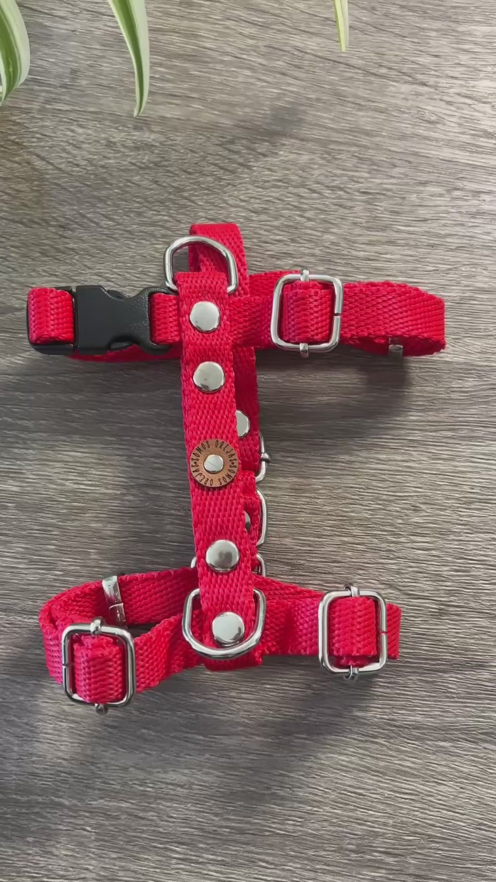 Pretal para perros - Rojo