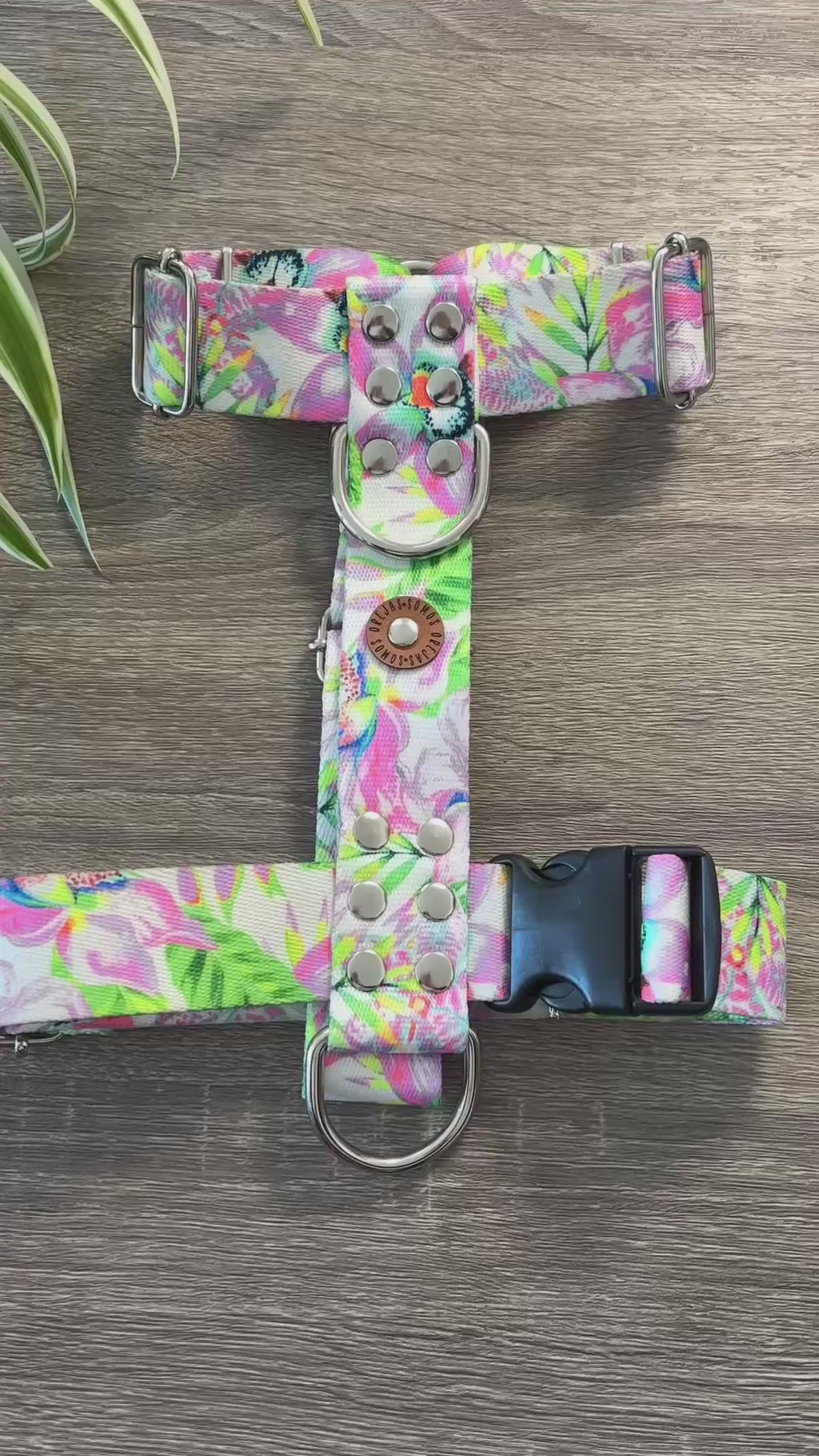 Pretal para perros 40mm - Selvatico