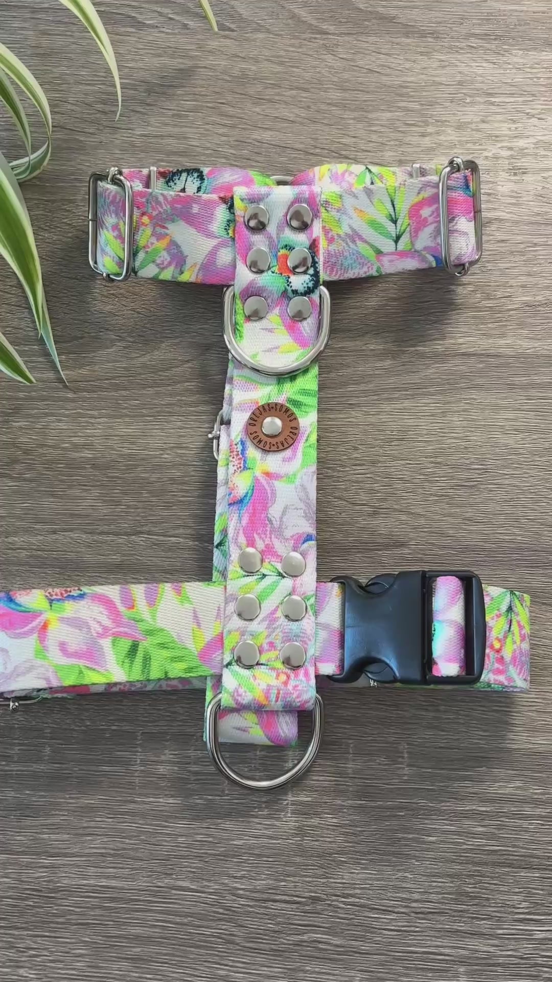Pretal para perros 40mm - Selvatico