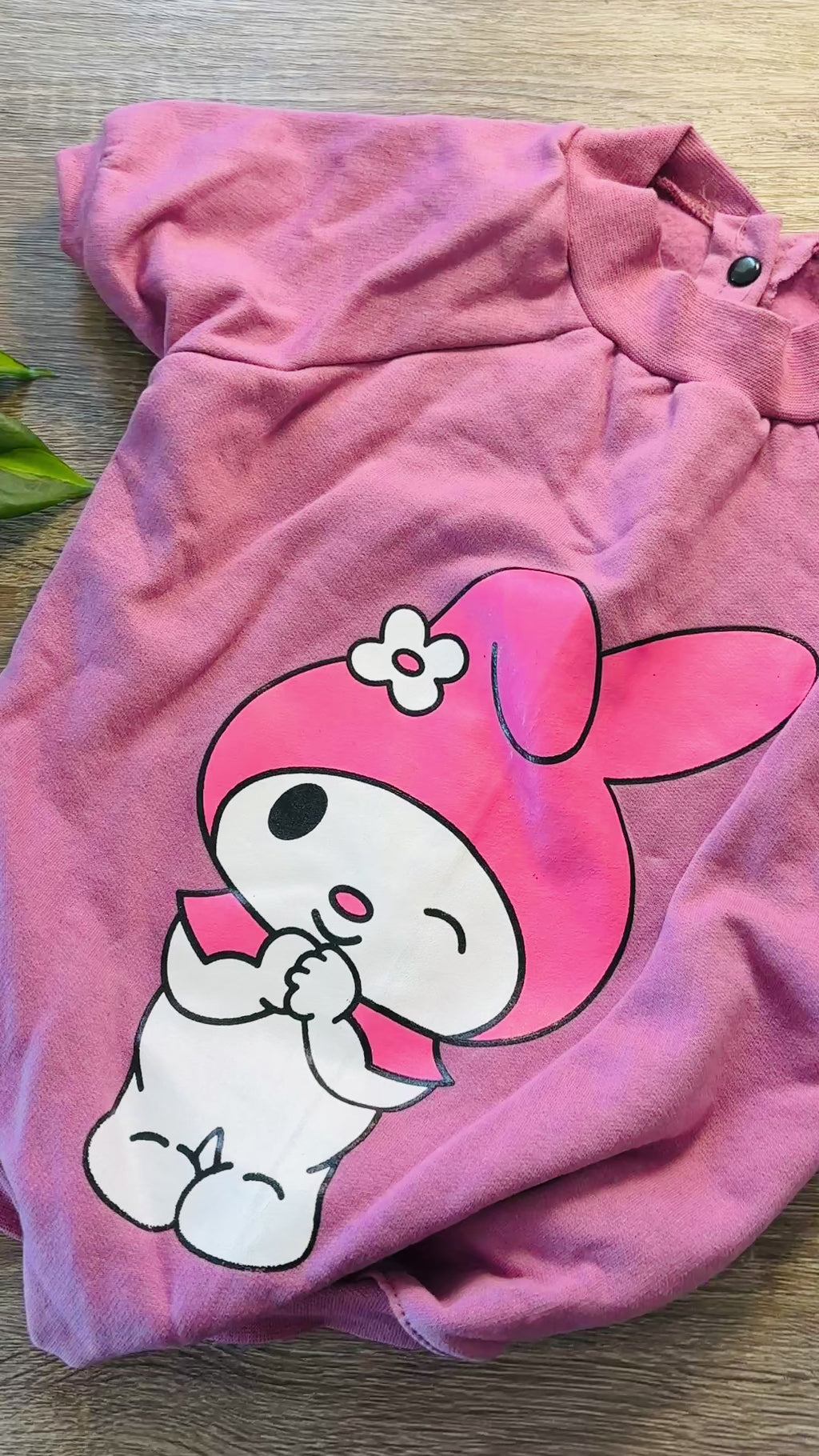 Buzo rosa Melody para mascotas - Talle 8