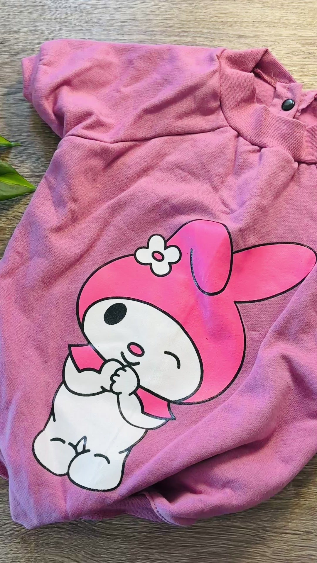 Buzo rosa Melody para mascotas - Talle 8