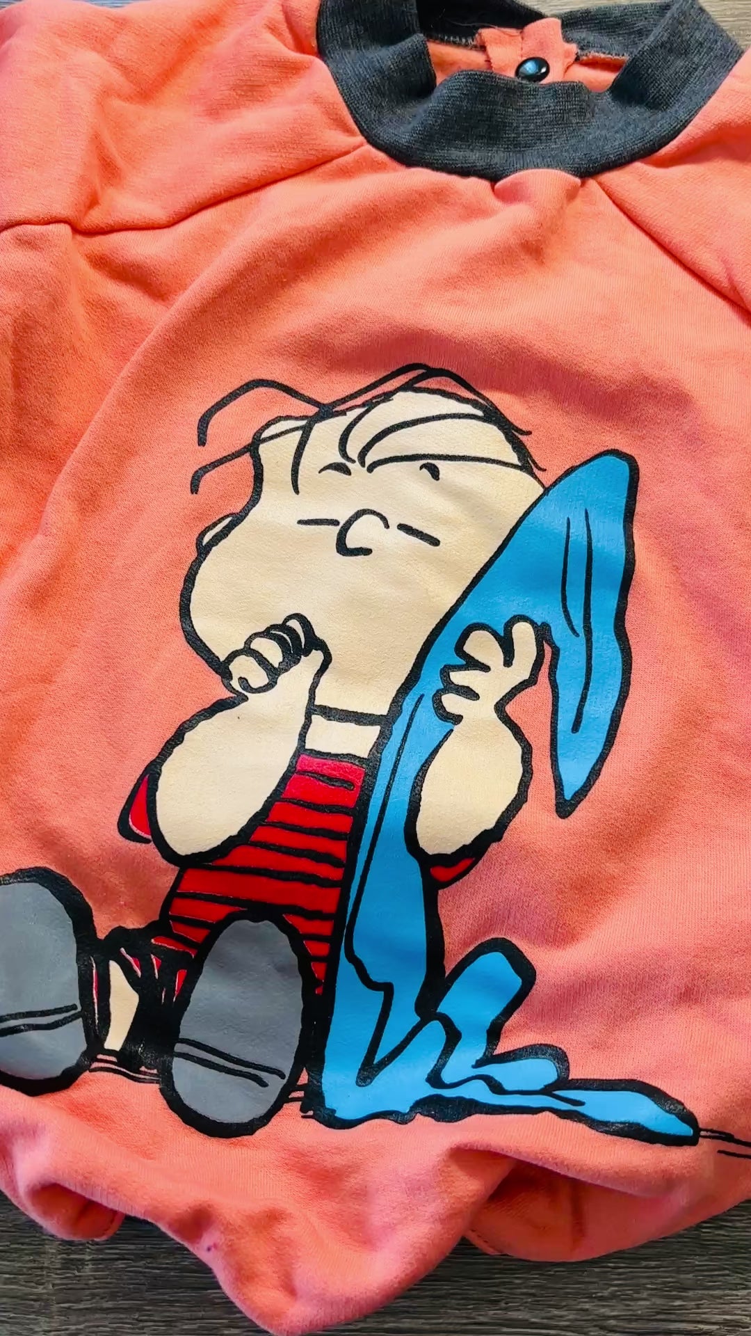 Buzo naranja Linus para mascotas - Talle 8
