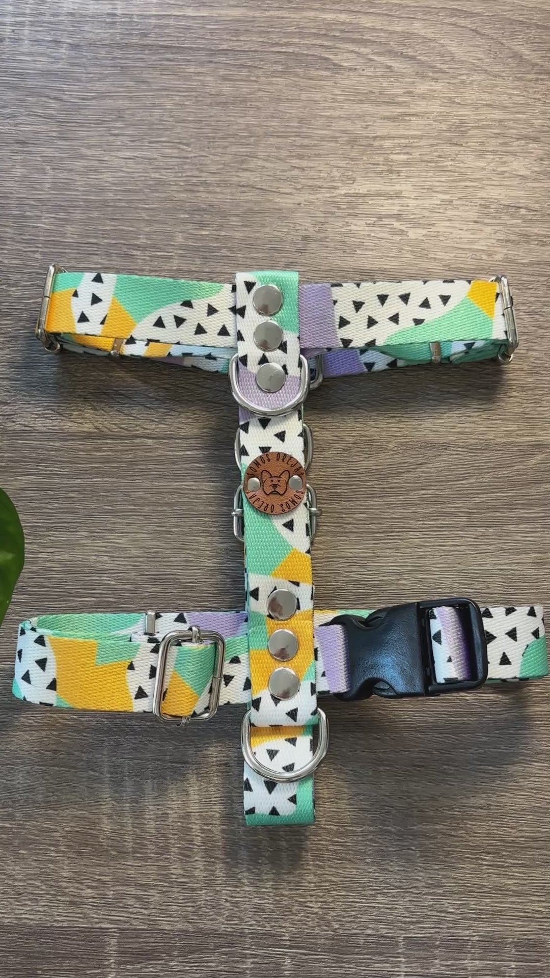 Pretal para perros - Colores