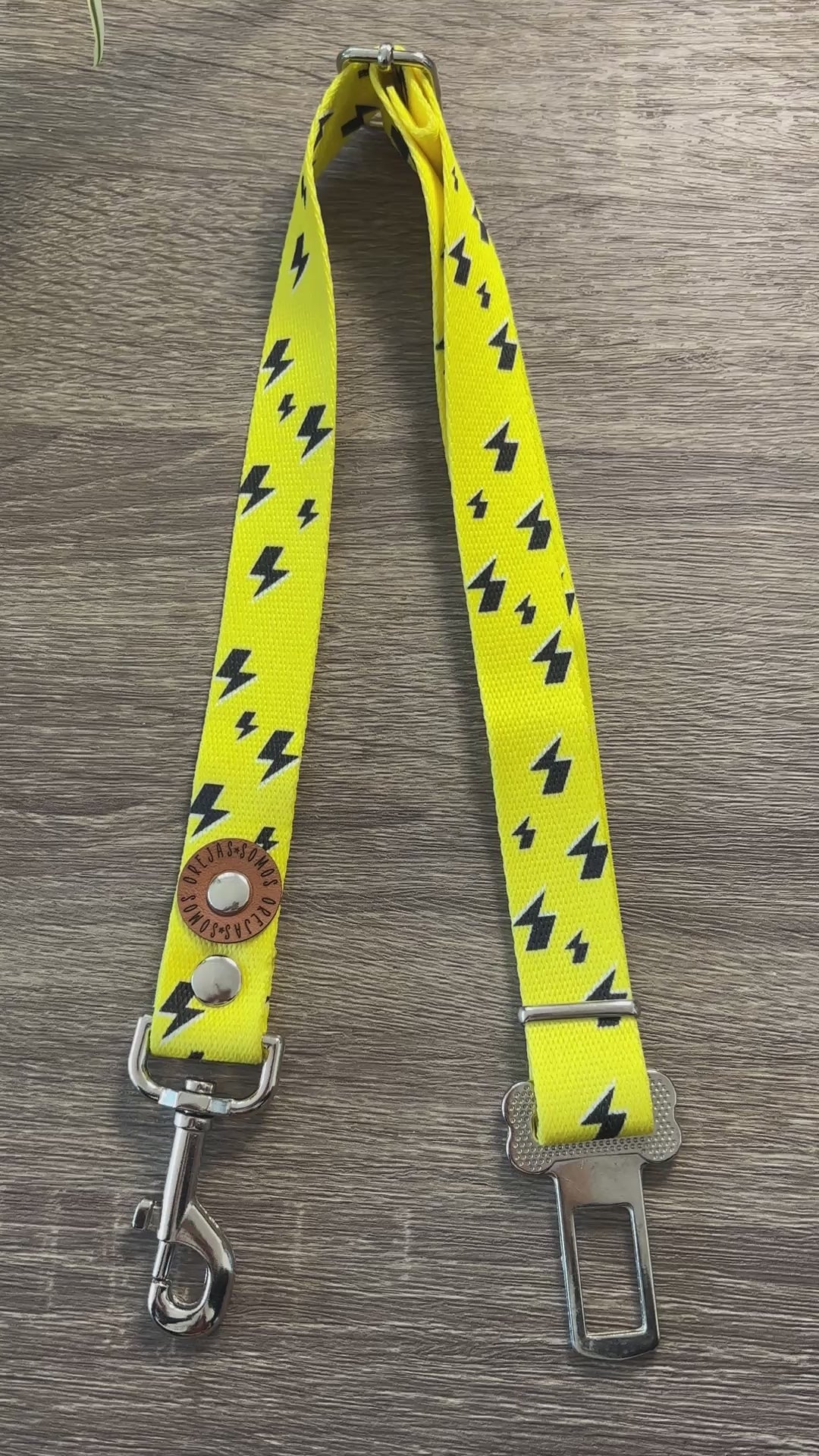 Cinturón de seguridad Rayos para mascotas