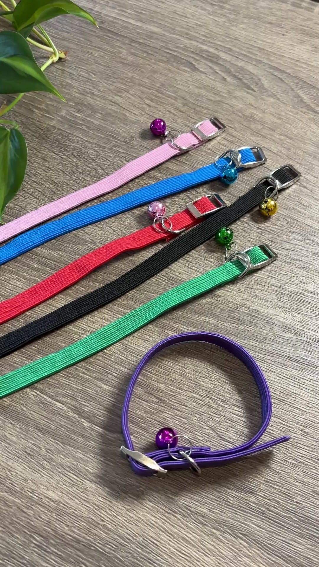 Collar mini elástico para perros o gatos