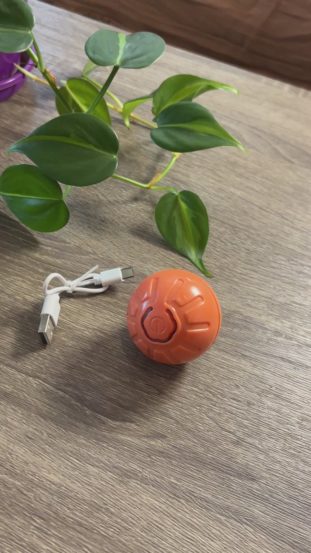 Pelota interactiva recargable para mascotas